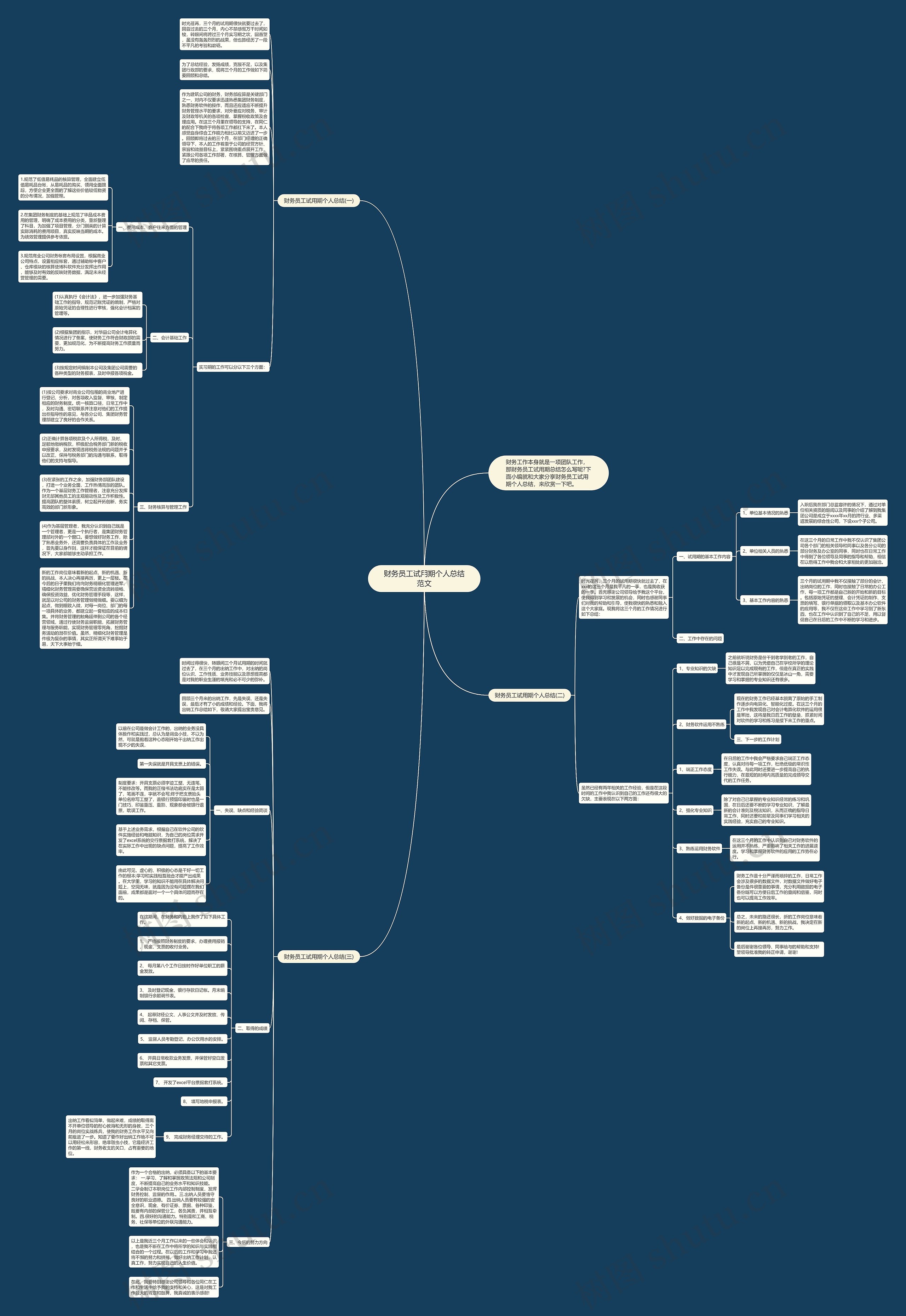 财务员工试用期个人总结范文思维导图