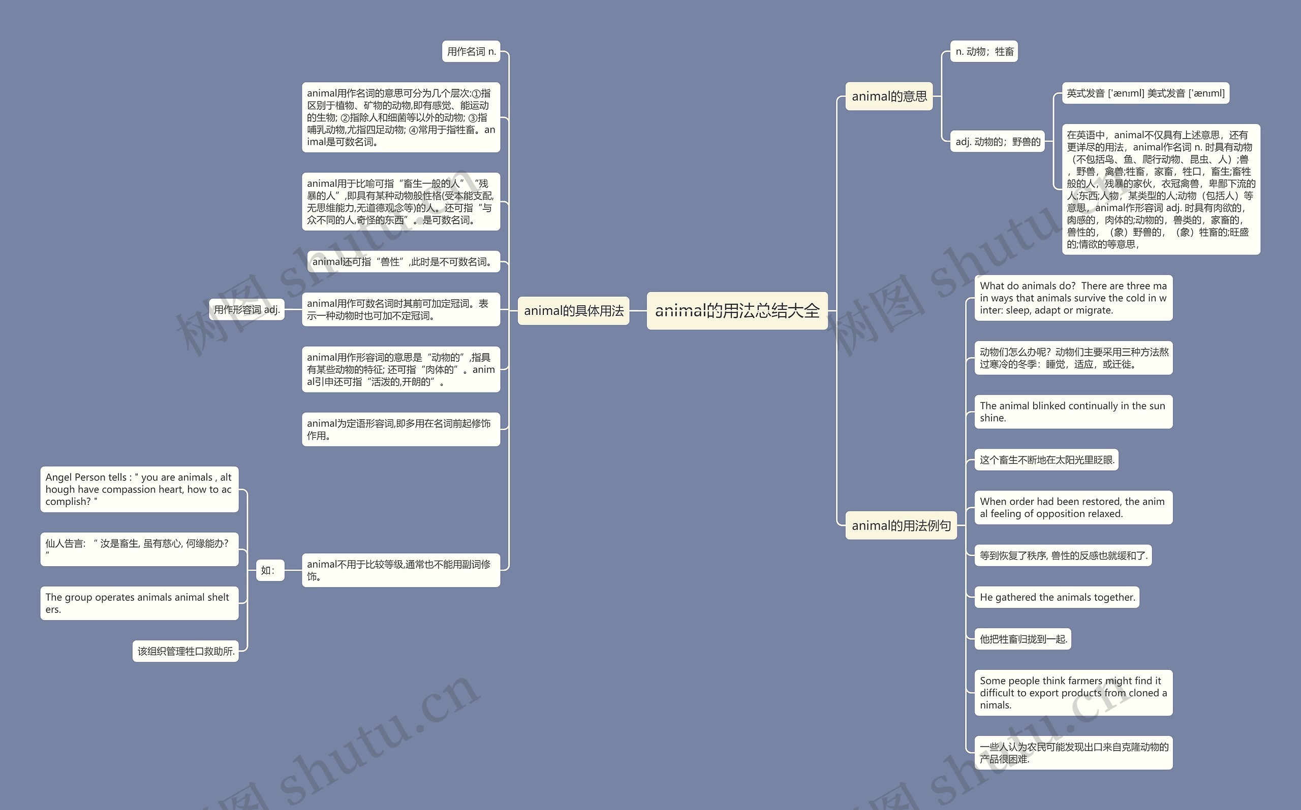 animal的用法总结大全思维导图