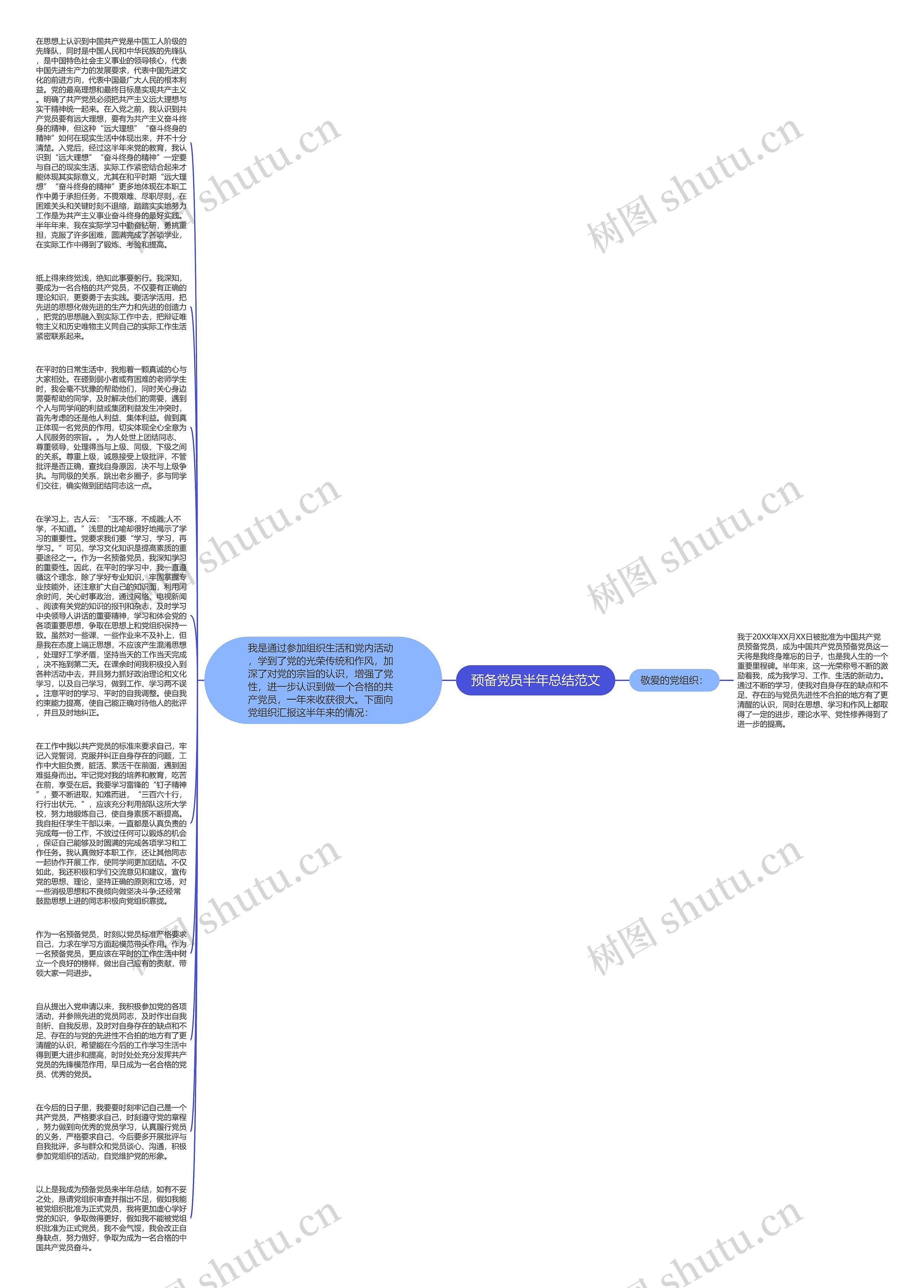预备党员半年总结范文思维导图