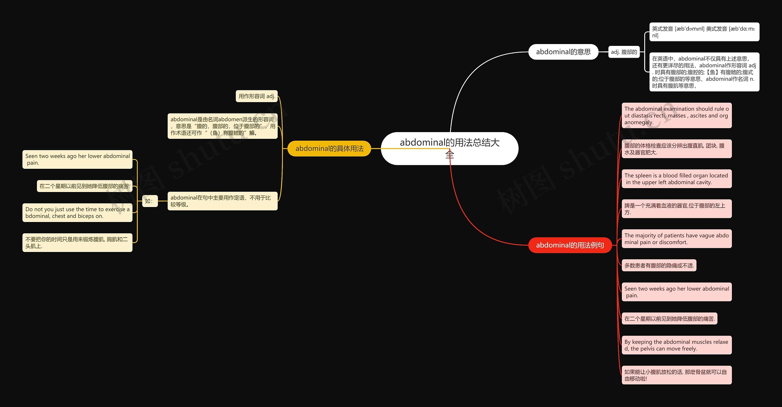abdominal的用法总结大全思维导图
