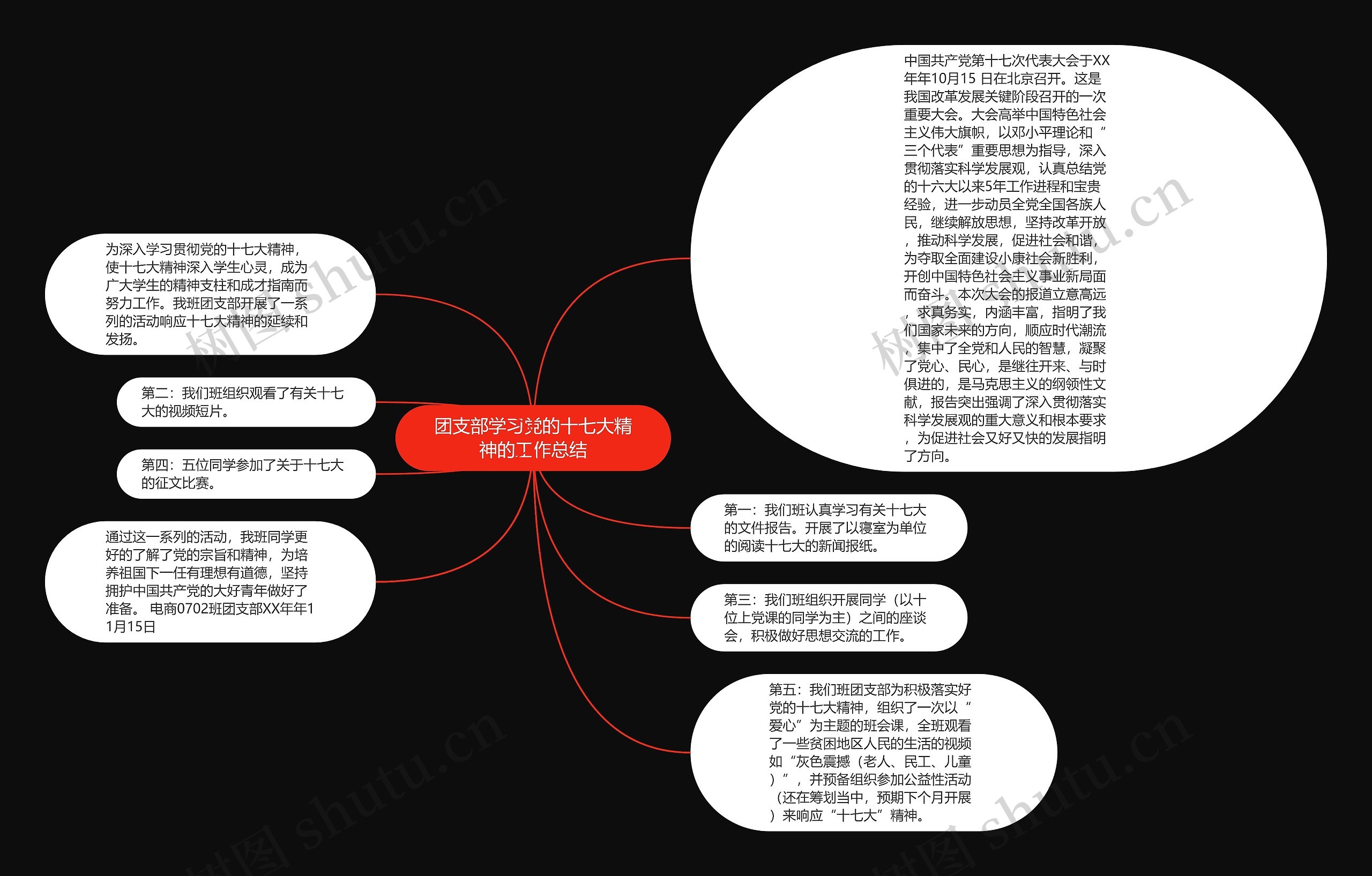 团支部学习党的十七大精神的工作总结