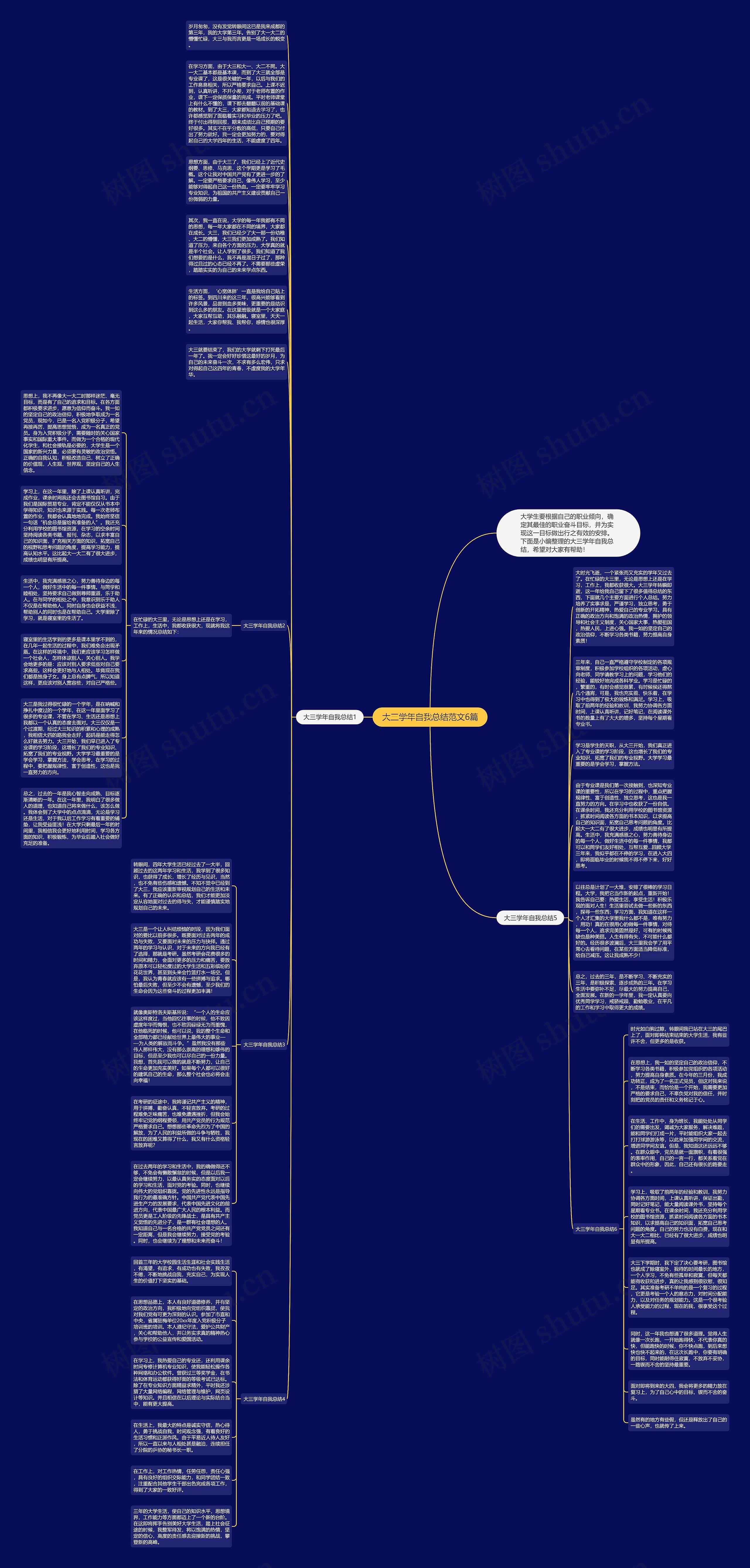 大三学年自我总结范文6篇思维导图