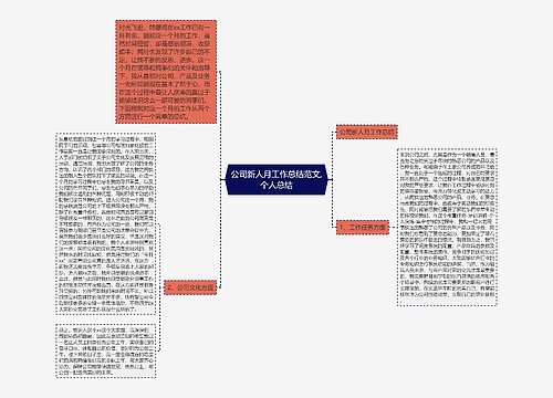 公司新人月工作总结范文,个人总结