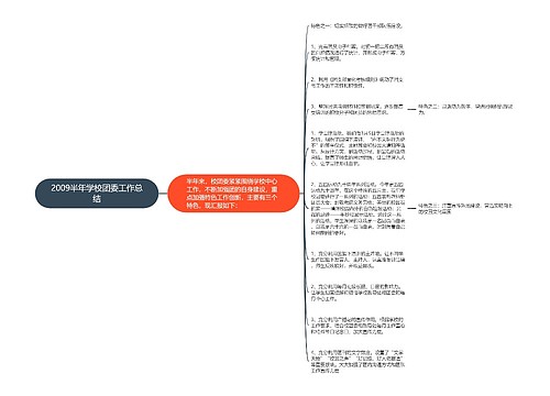 2009半年学校团委工作总结