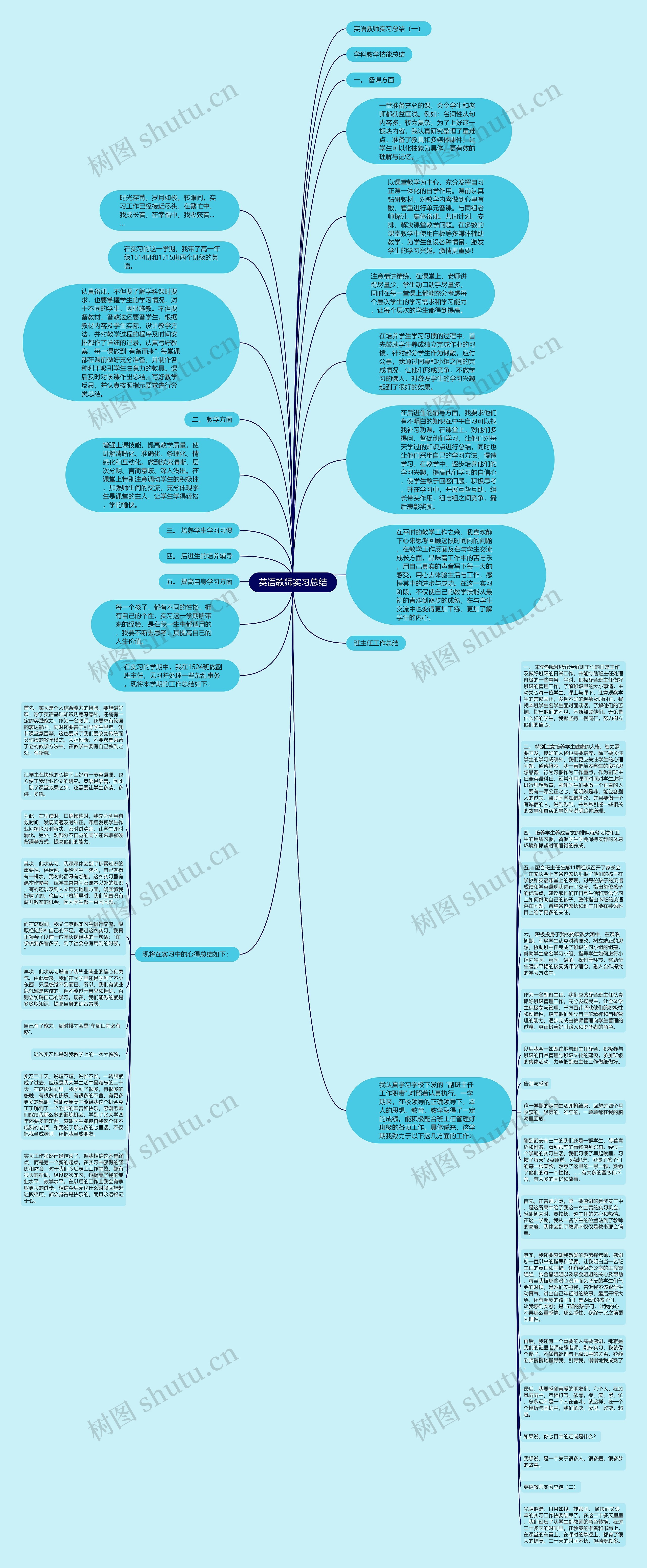 英语教师实习总结思维导图
