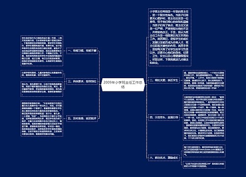 2009年小学班主任工作总结