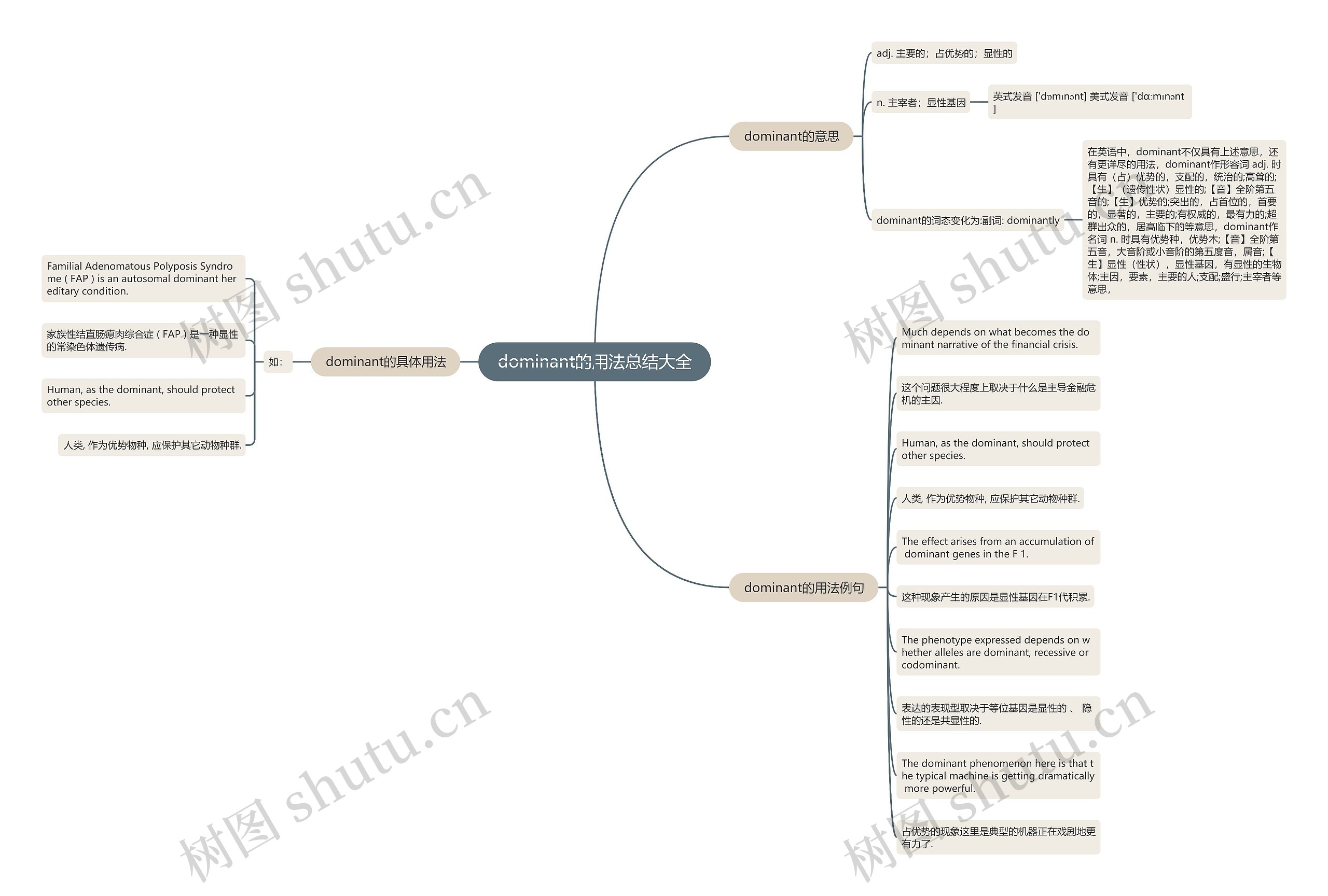 dominant的用法总结大全思维导图