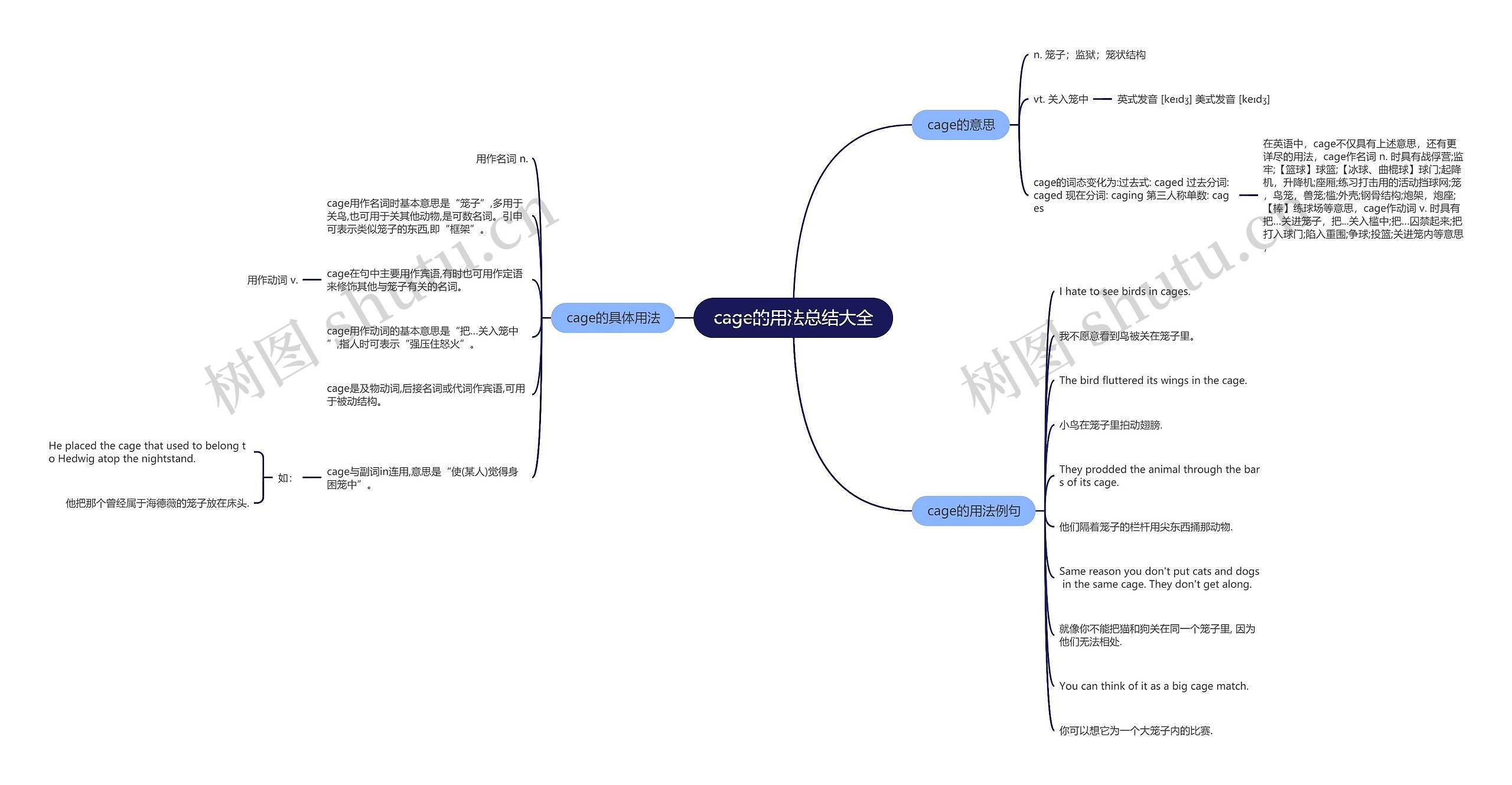 cage的用法总结大全思维导图