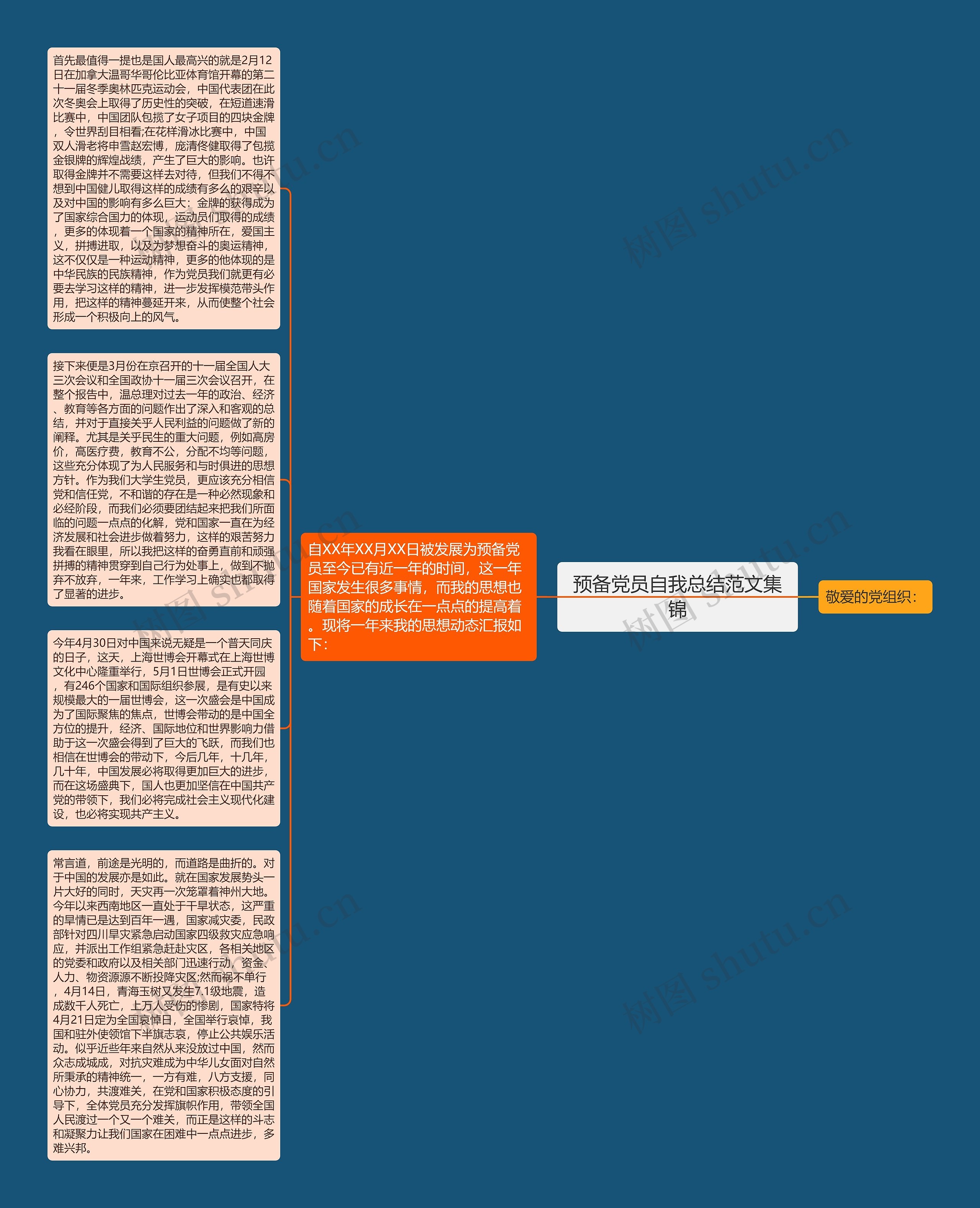 预备党员自我总结范文集锦