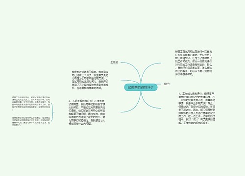 试用期的自我评价