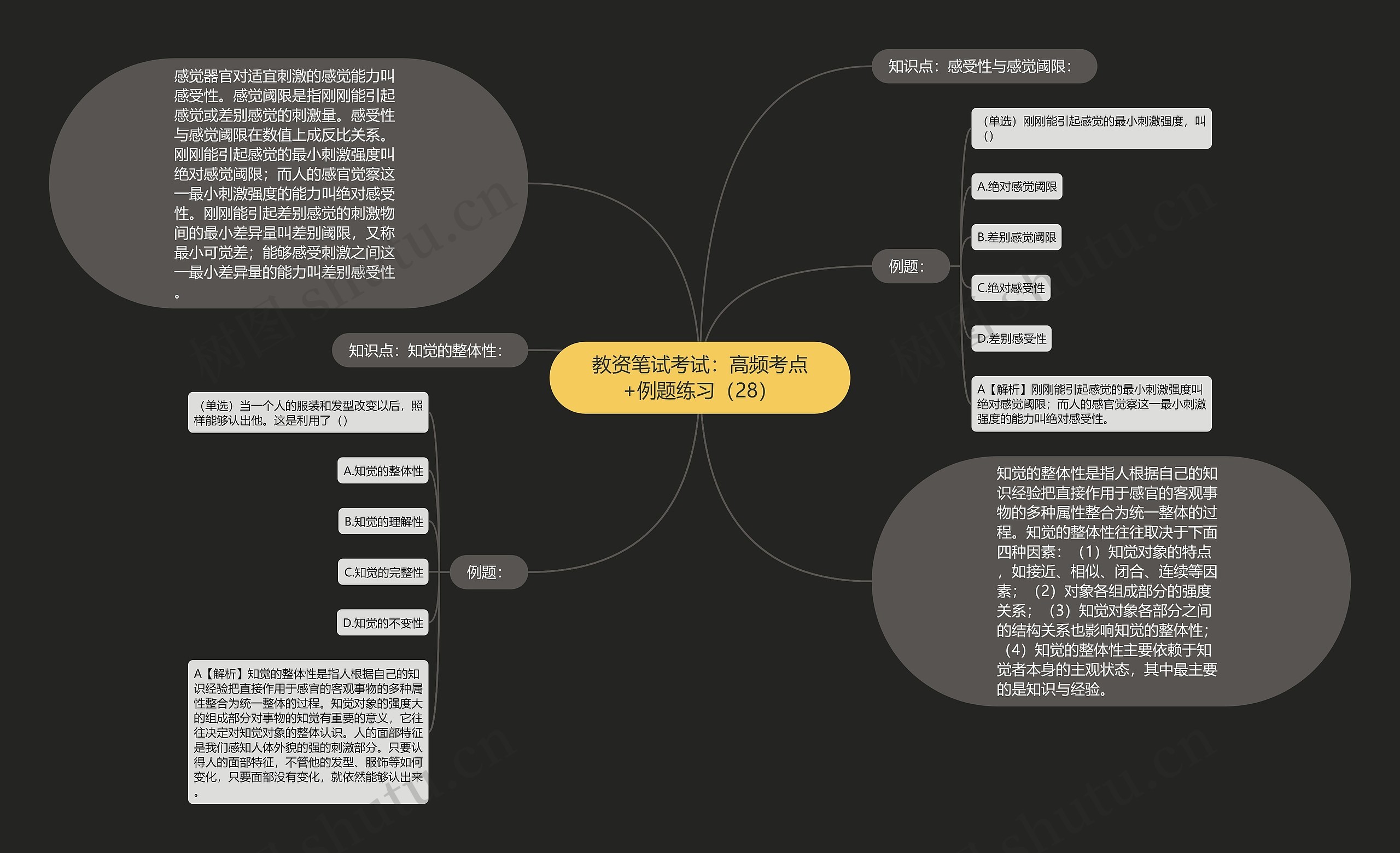 教资笔试考试：高频考点+例题练习（28）