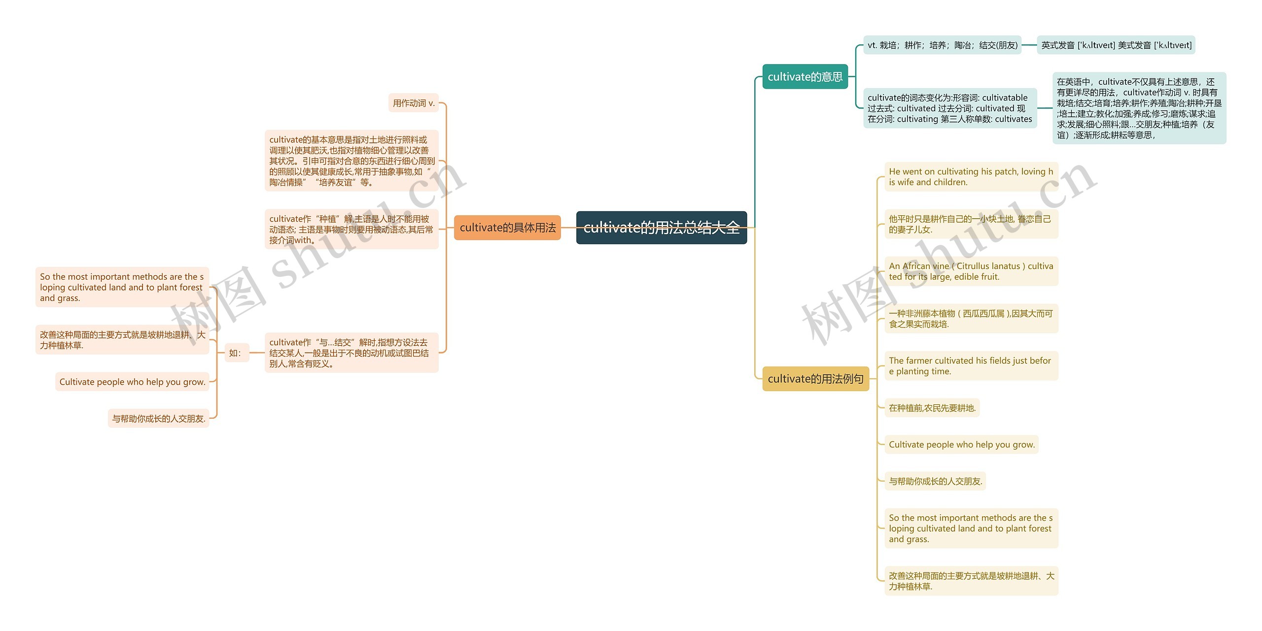 cultivate的用法总结大全思维导图