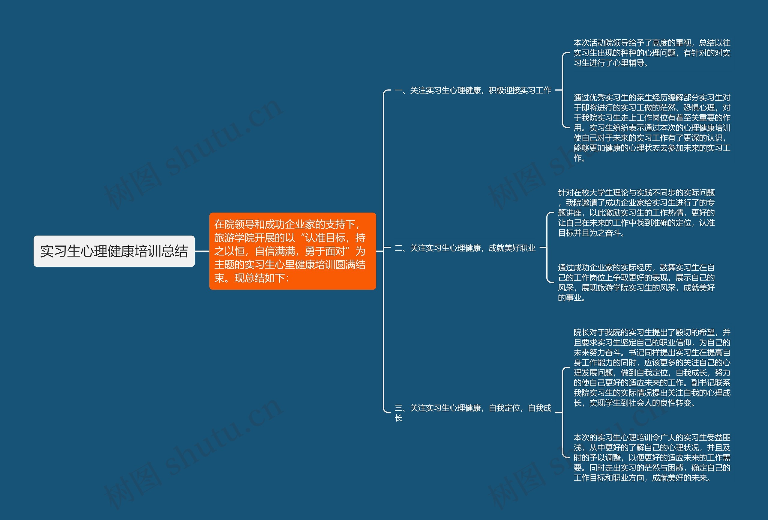 实习生心理健康培训总结思维导图