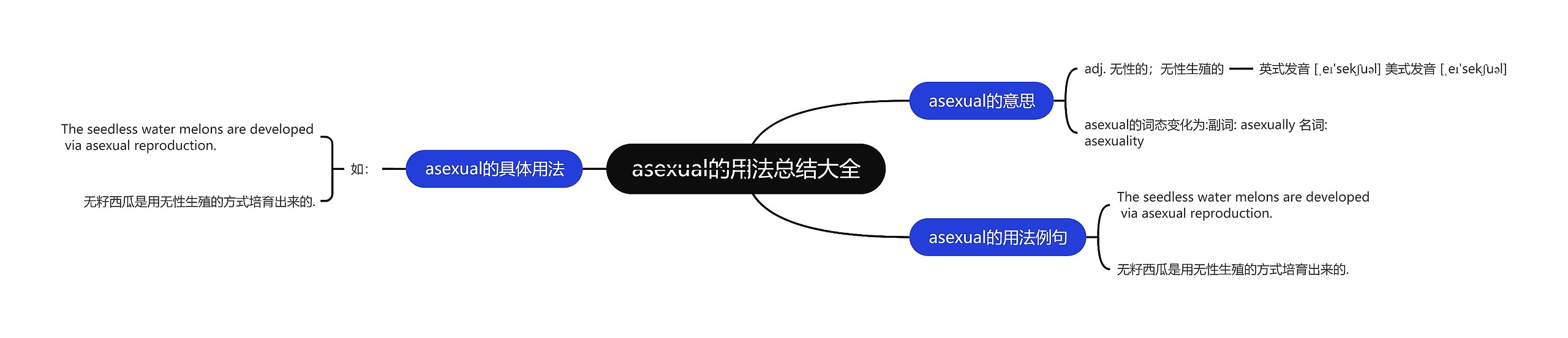 asexual的用法总结大全思维导图