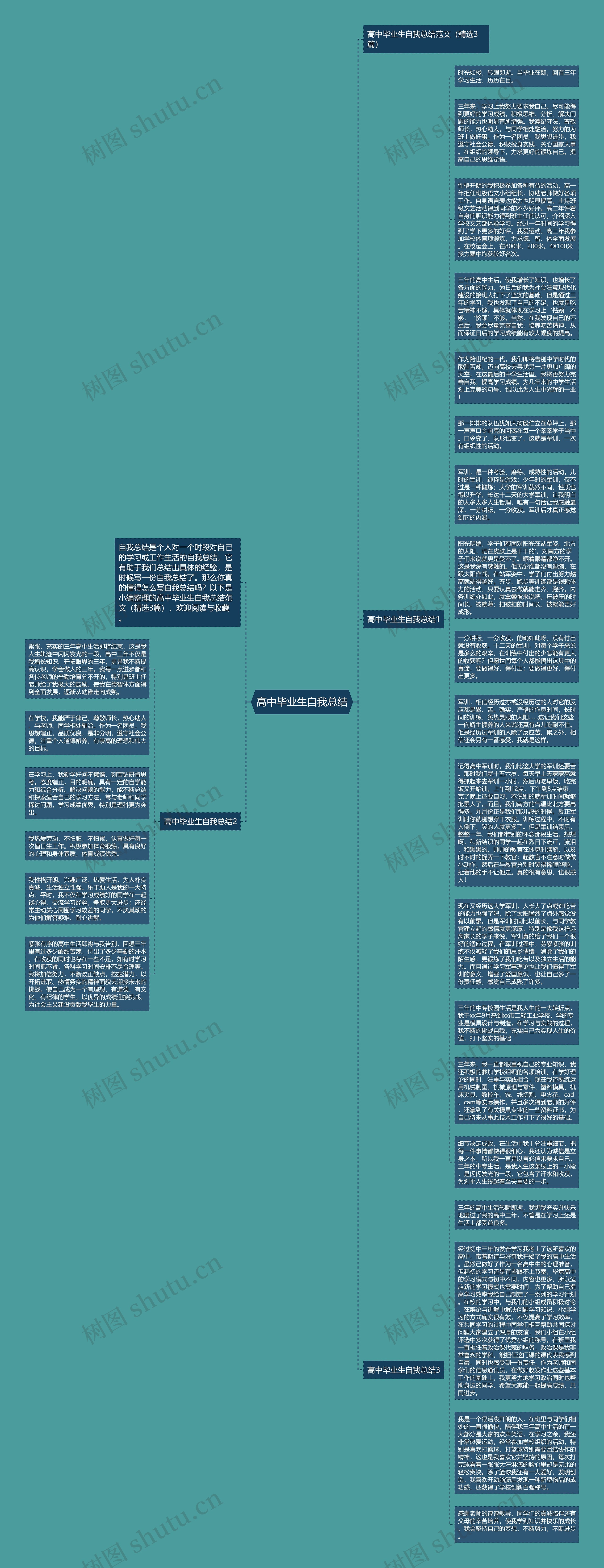 高中毕业生自我总结思维导图