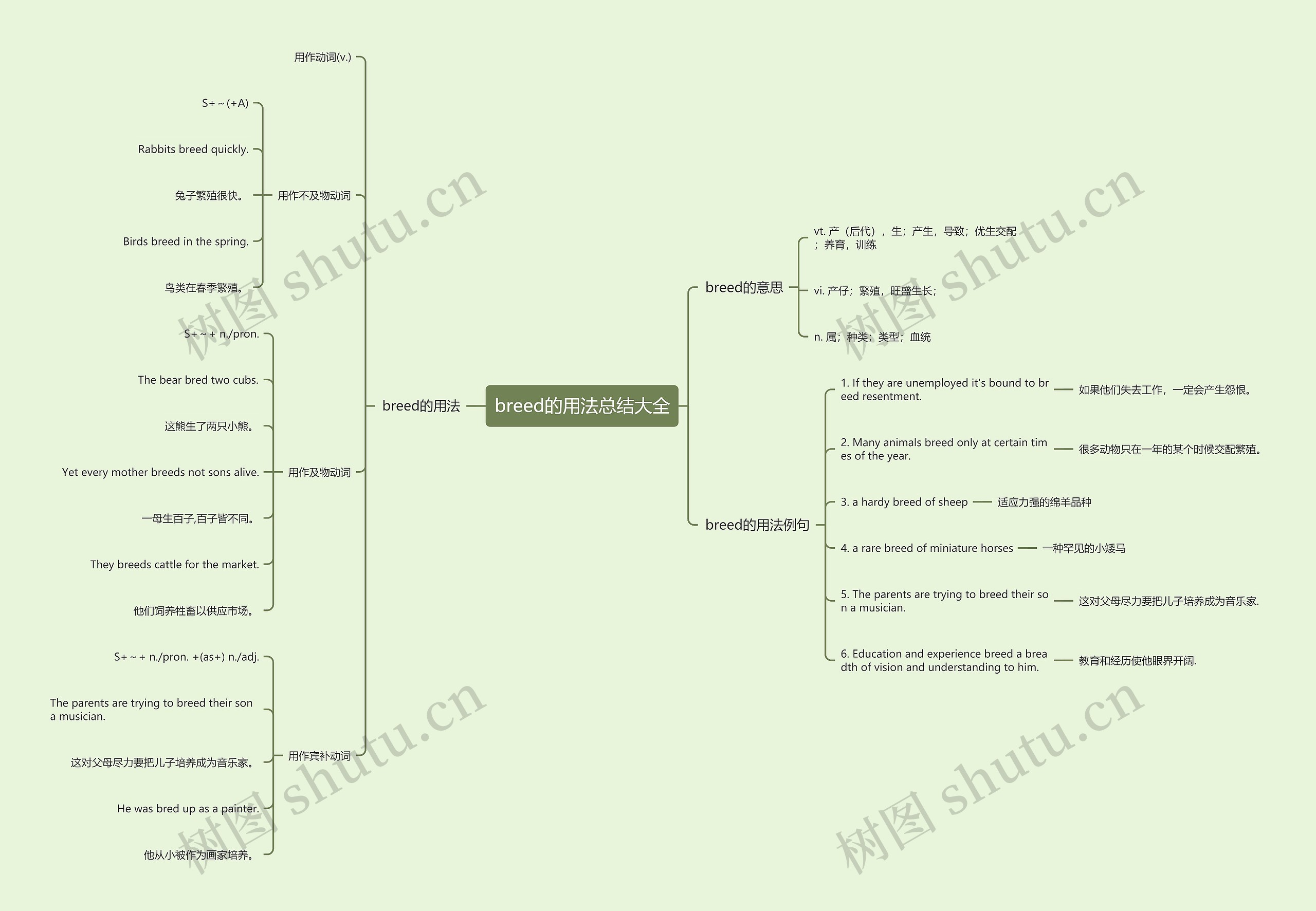 breed的用法总结大全思维导图
