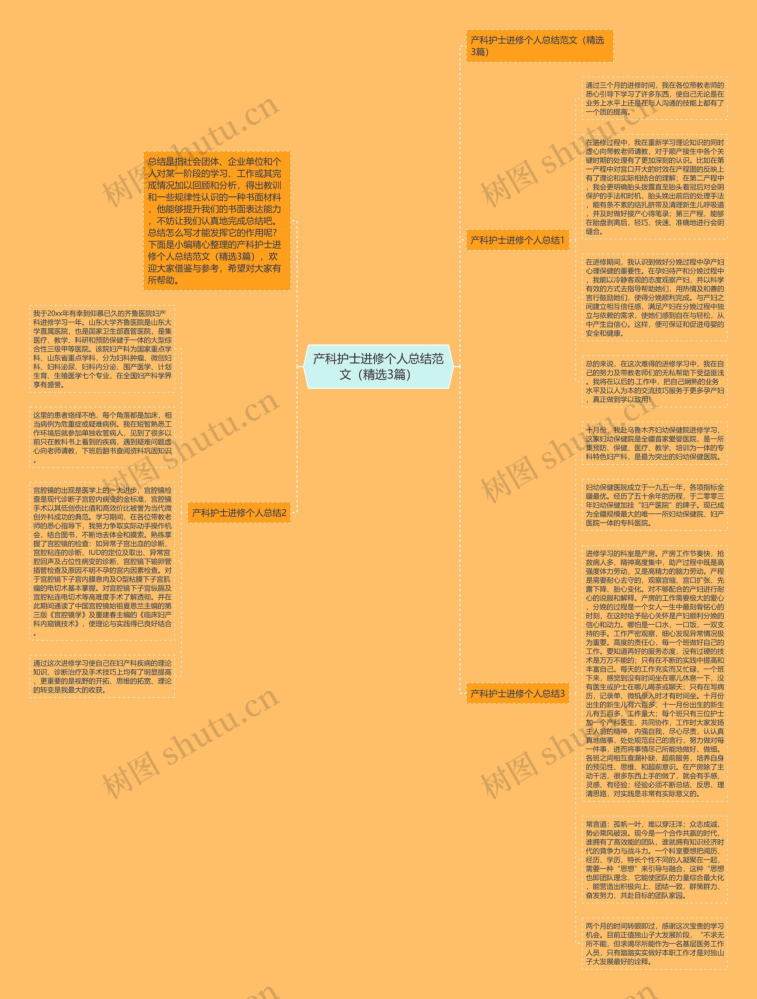 产科护士进修个人总结范文（精选3篇）思维导图