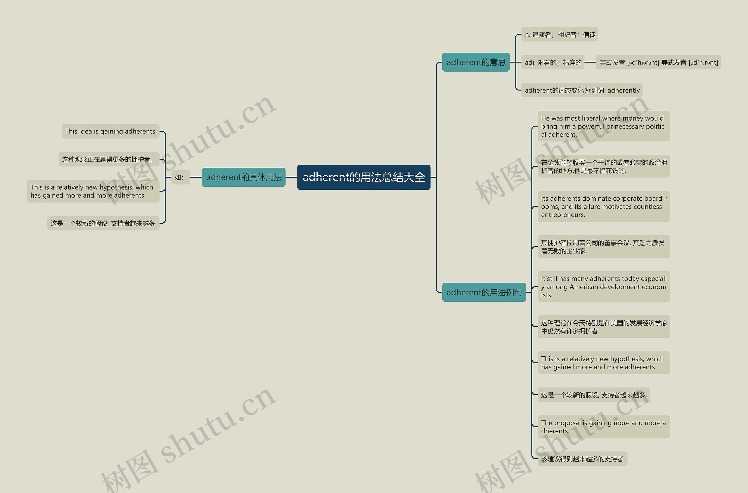 adherent的用法总结大全思维导图