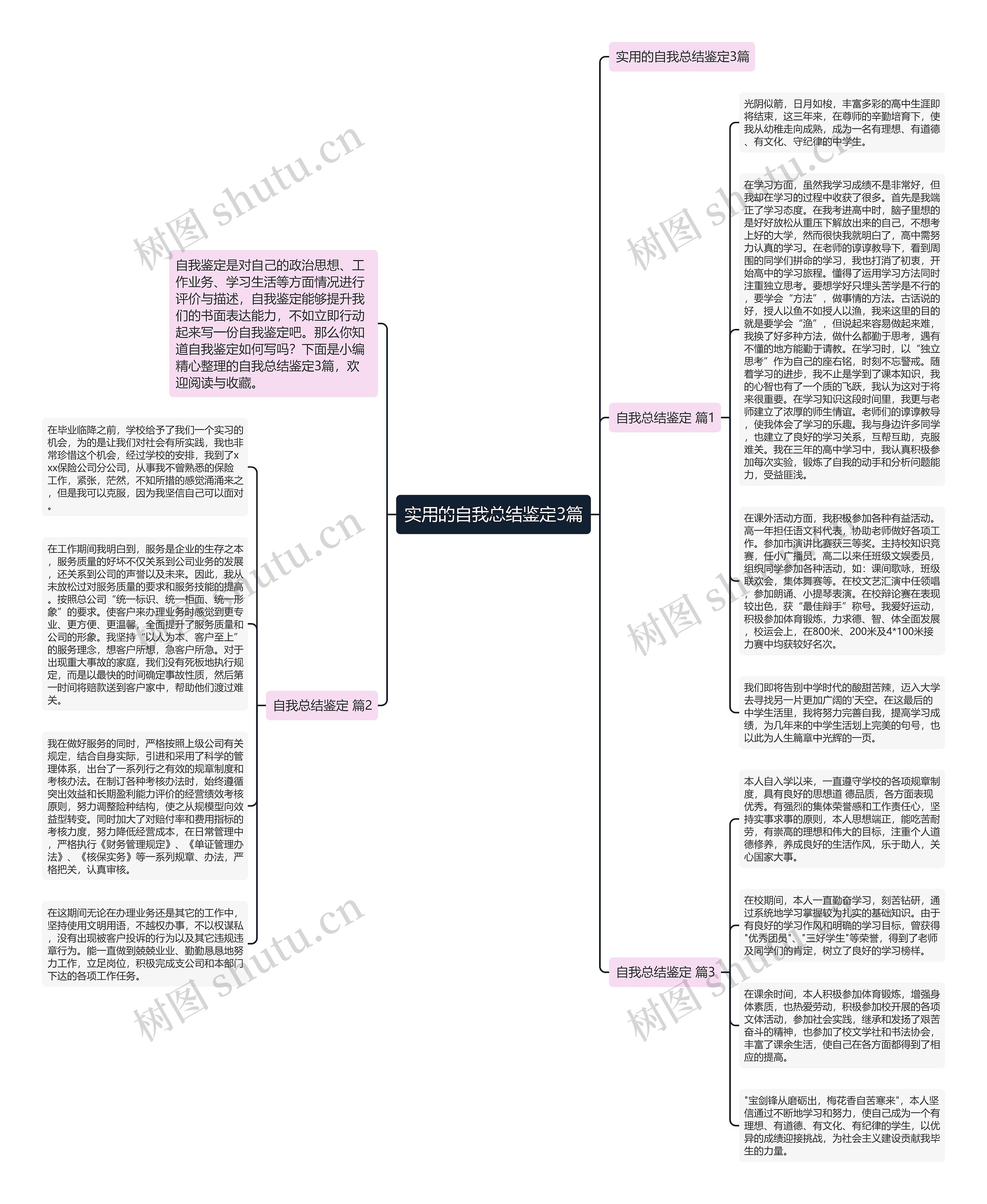 实用的自我总结鉴定3篇思维导图