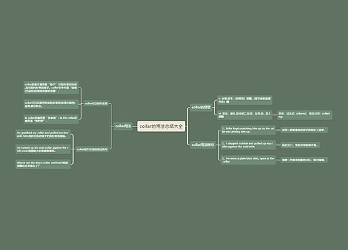 collar的用法总结大全