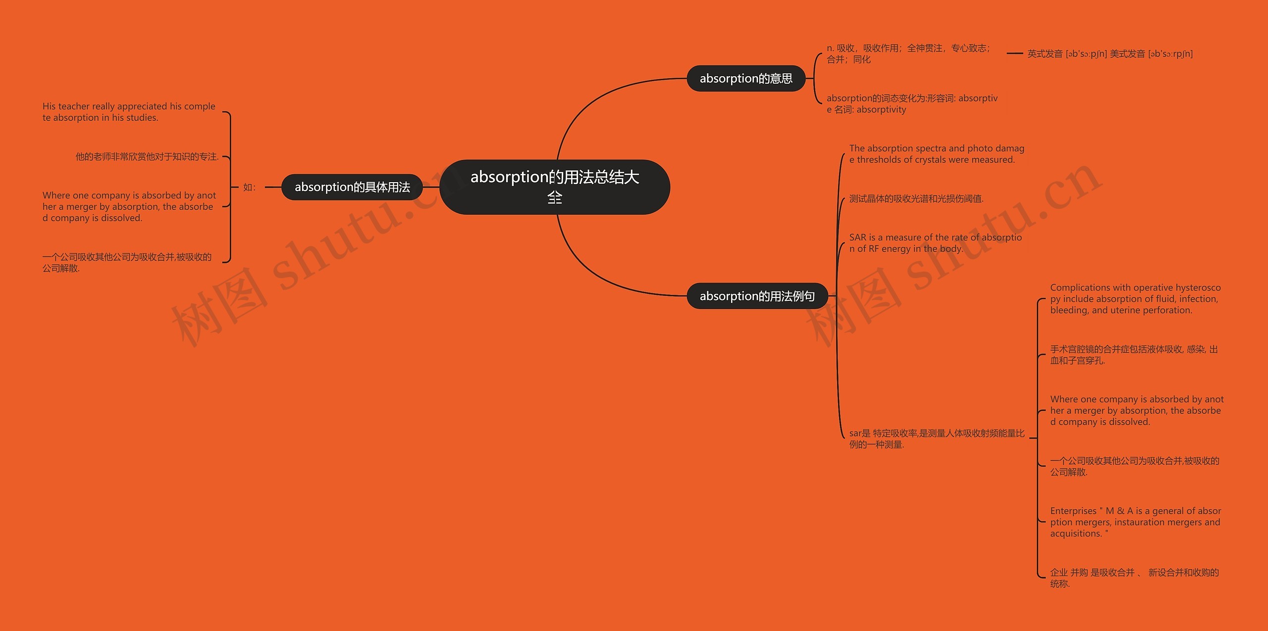 absorption的用法总结大全思维导图