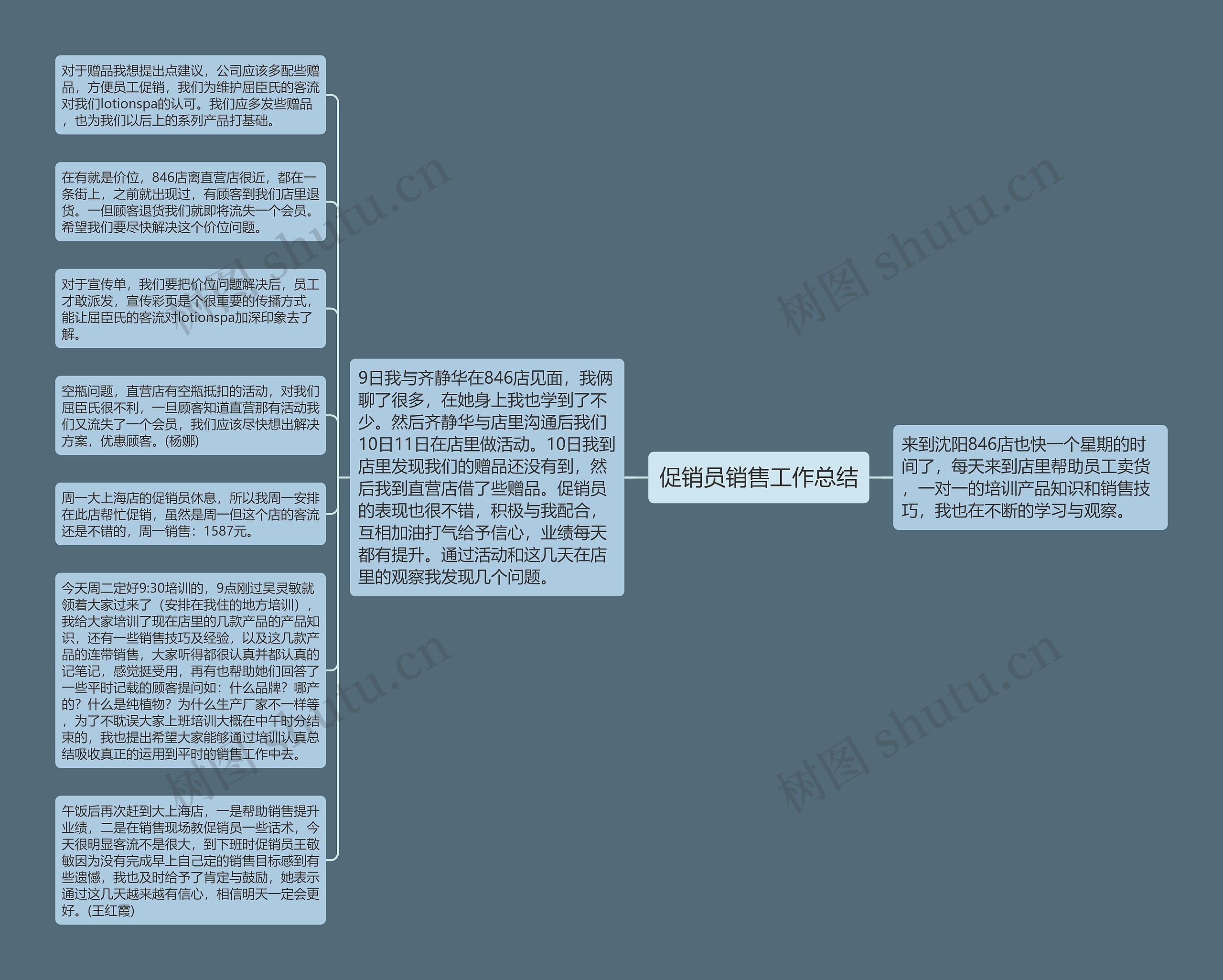 促销员销售工作总结