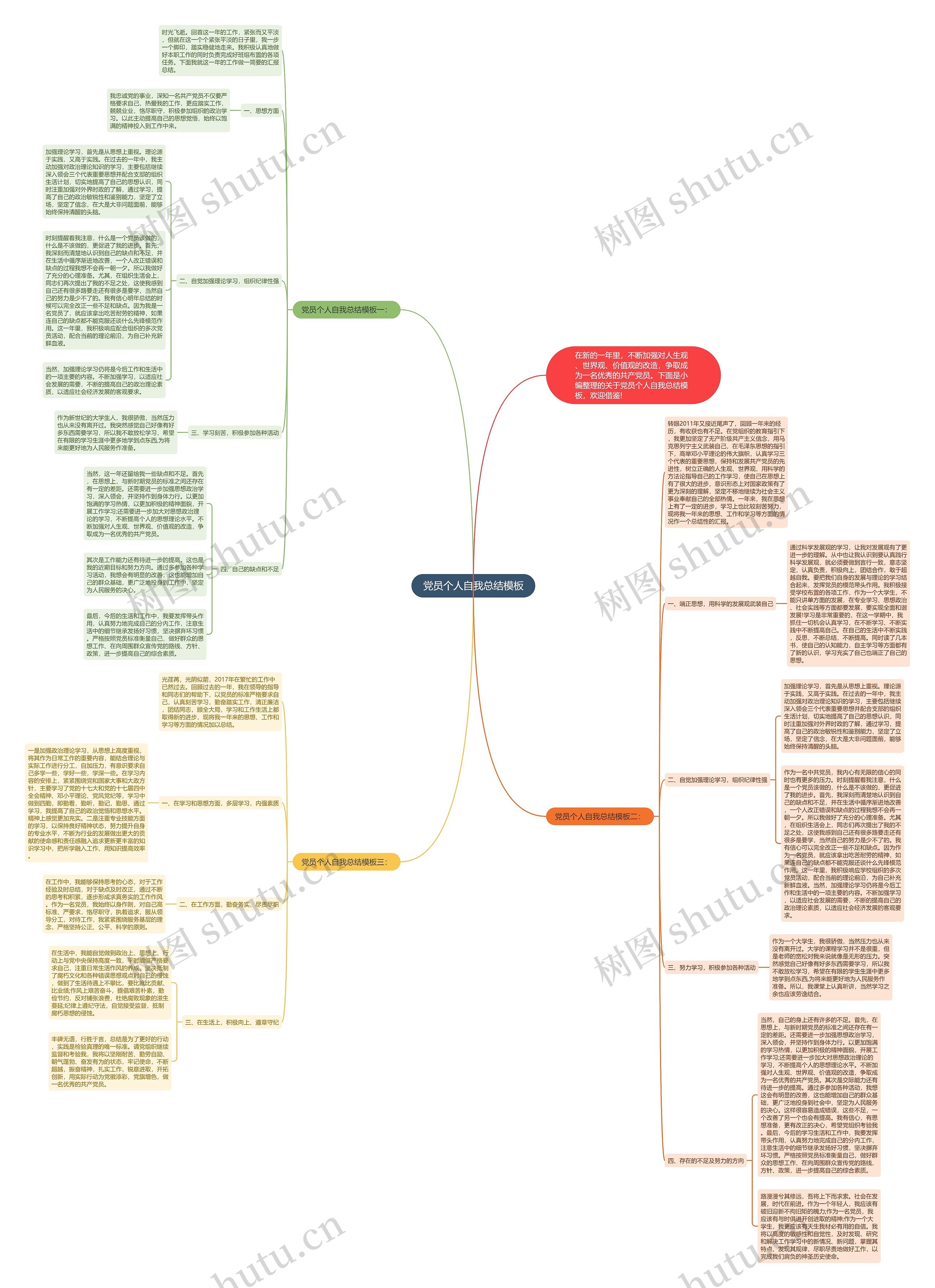 党员个人自我总结思维导图