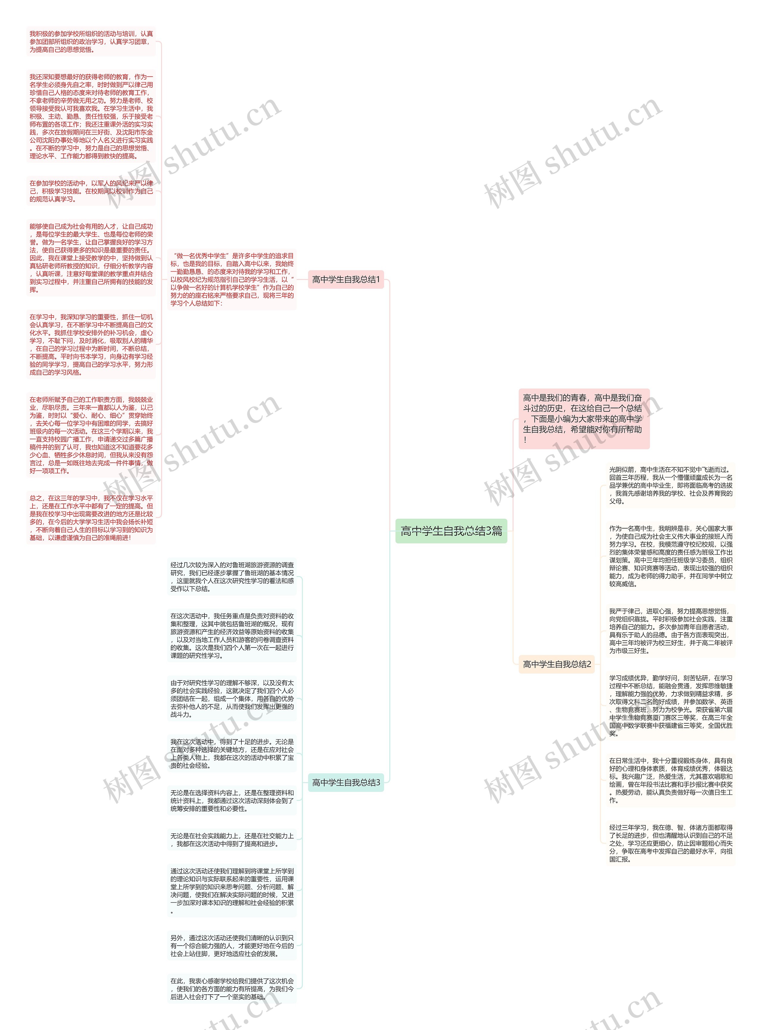 高中学生自我总结3篇思维导图