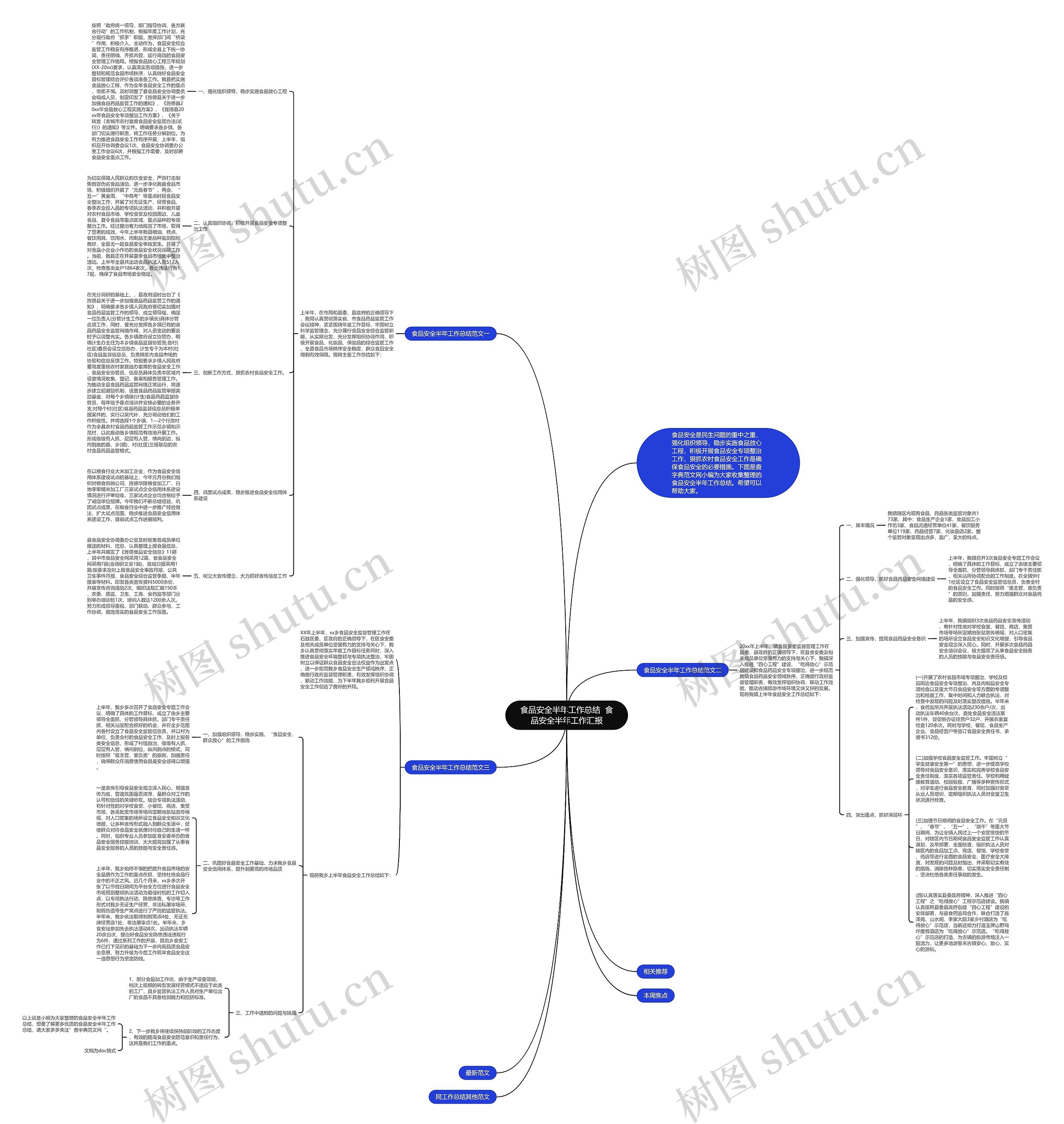 食品安全半年工作总结  食品安全半年工作汇报思维导图