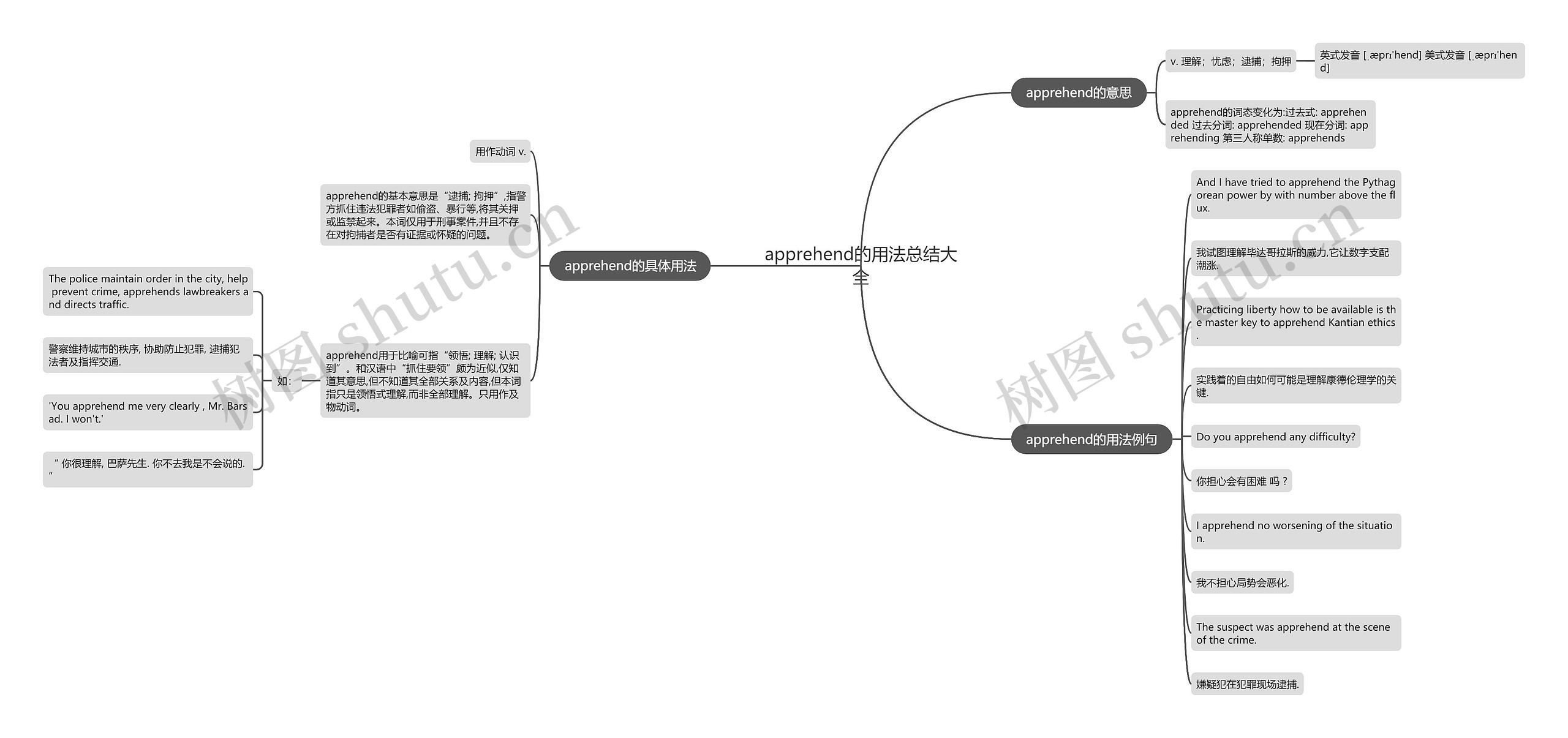 apprehend的用法总结大全思维导图