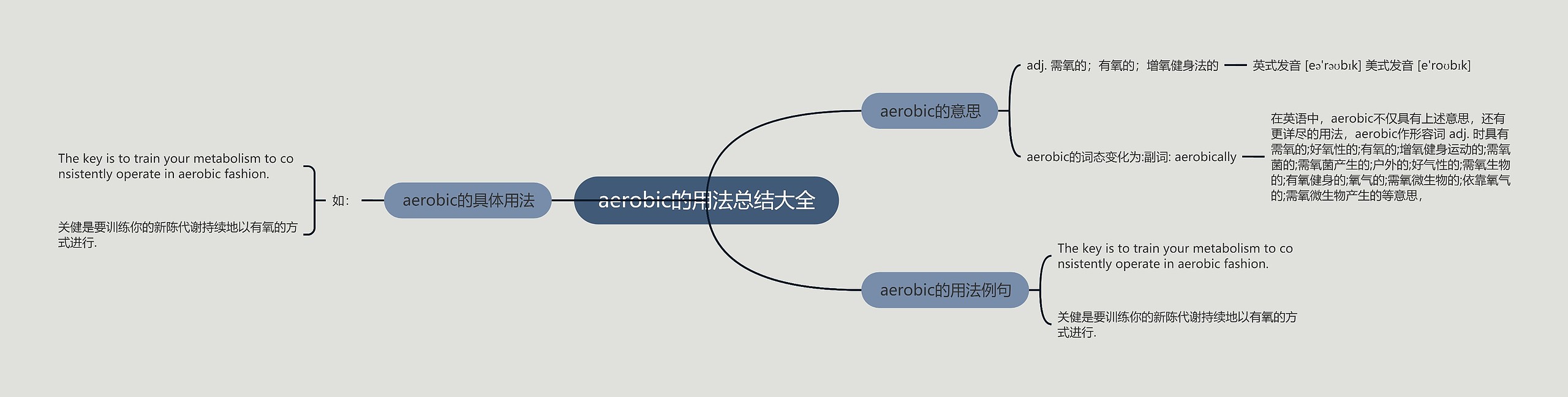 aerobic的用法总结大全思维导图
