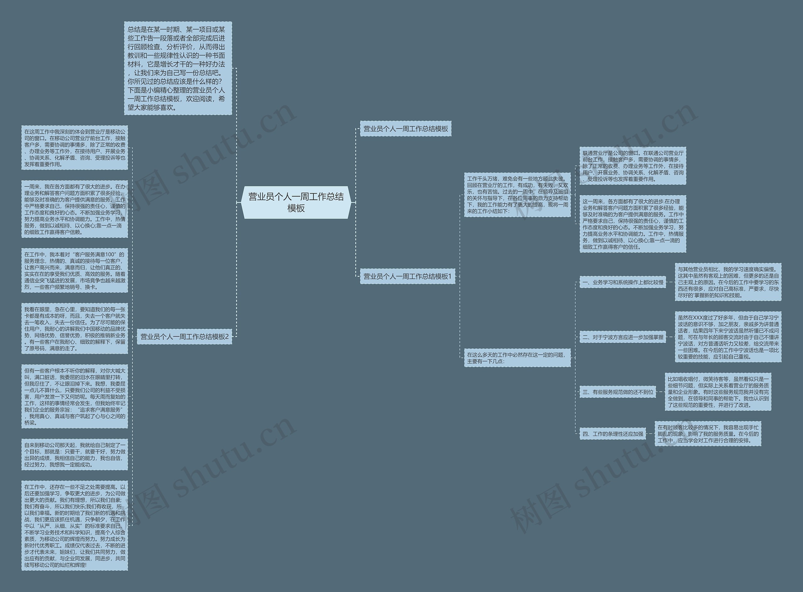 营业员个人一周工作总结思维导图