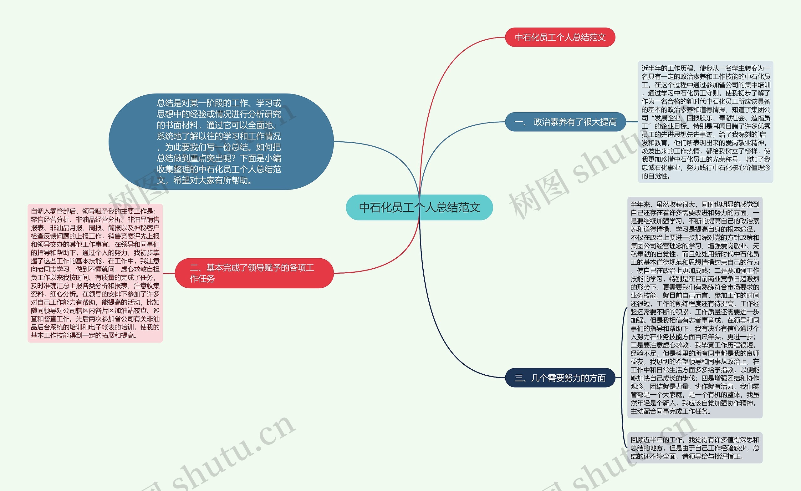 中石化员工个人总结范文思维导图