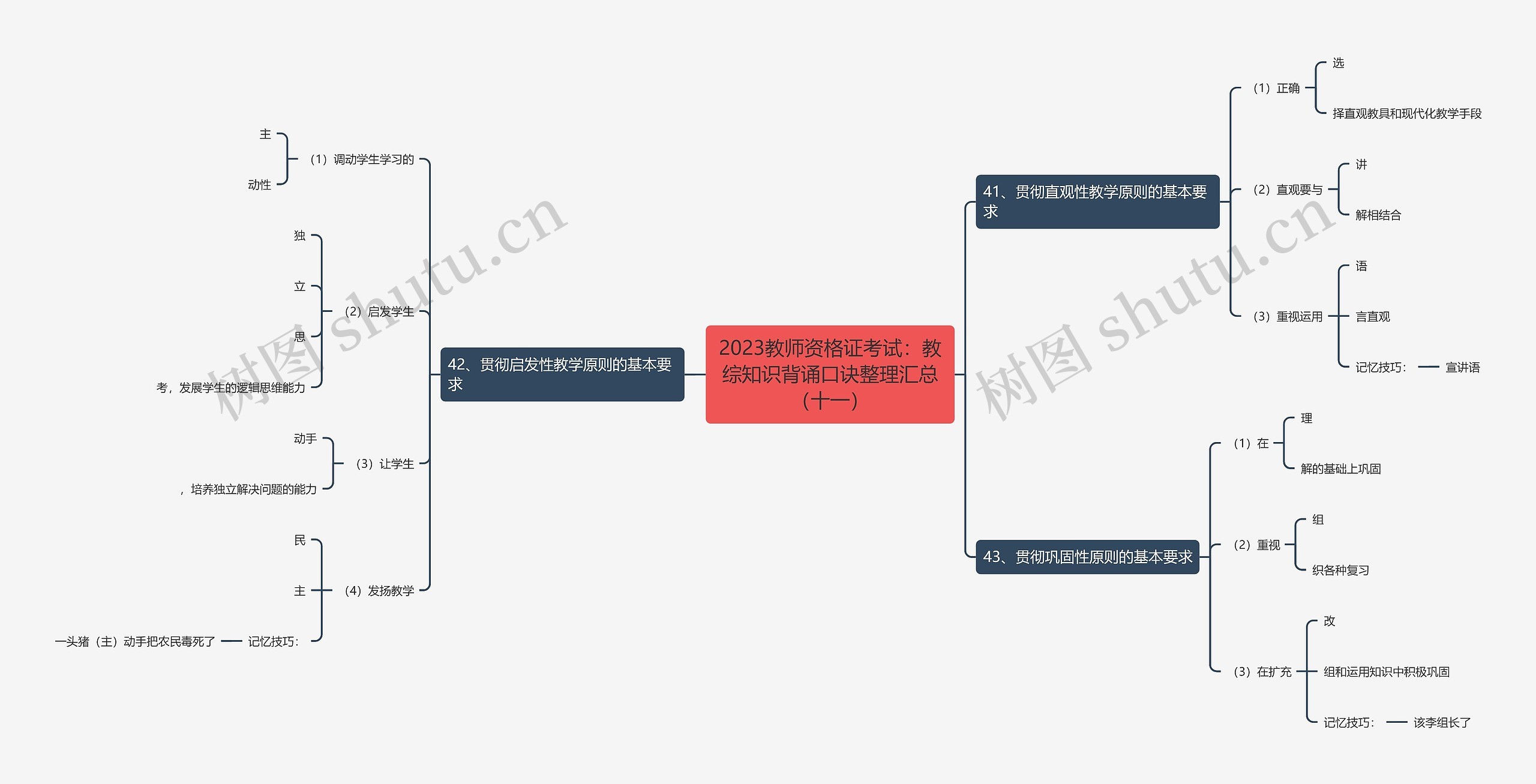 2023教师资格证考试：教综知识背诵口诀整理汇总（十一）思维导图