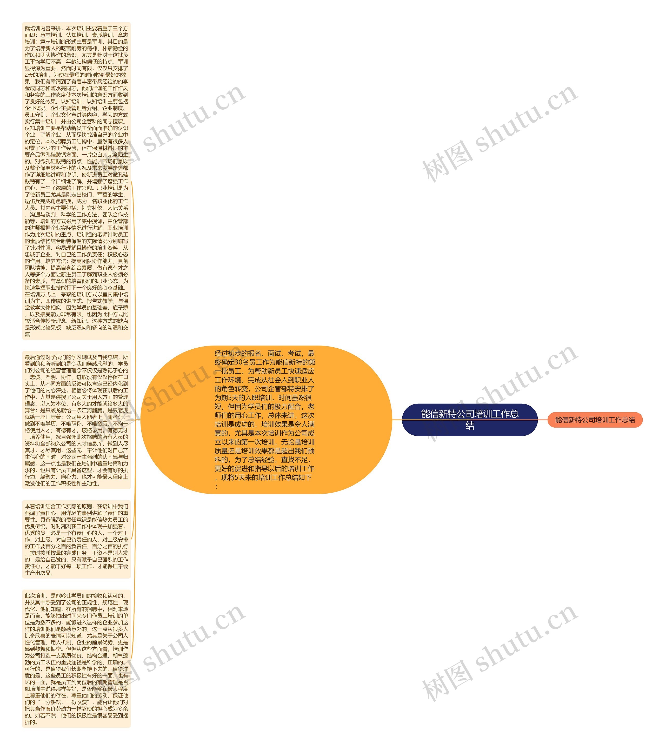 能信新特公司培训工作总结思维导图