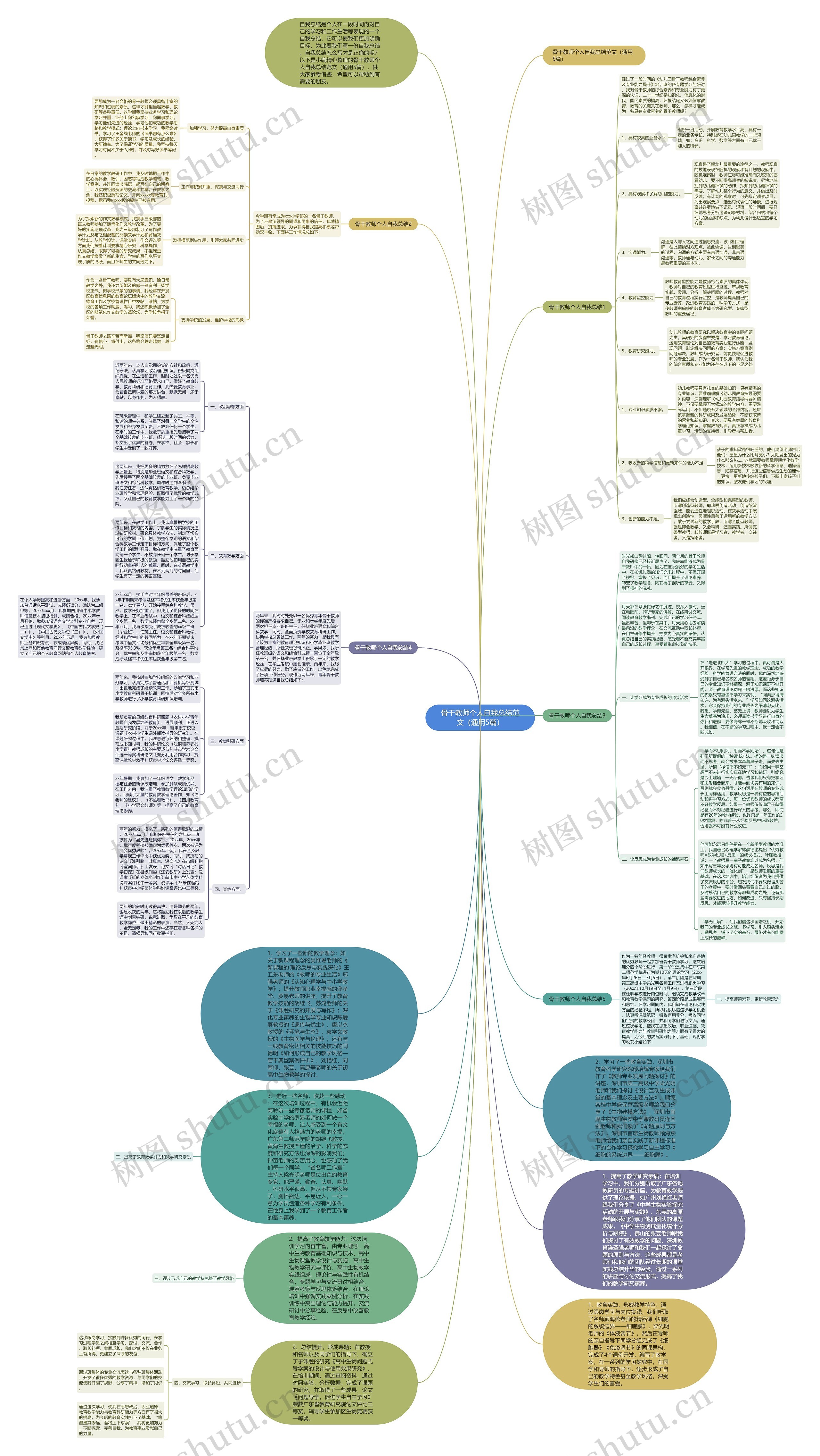 骨干教师个人自我总结范文（通用5篇）思维导图