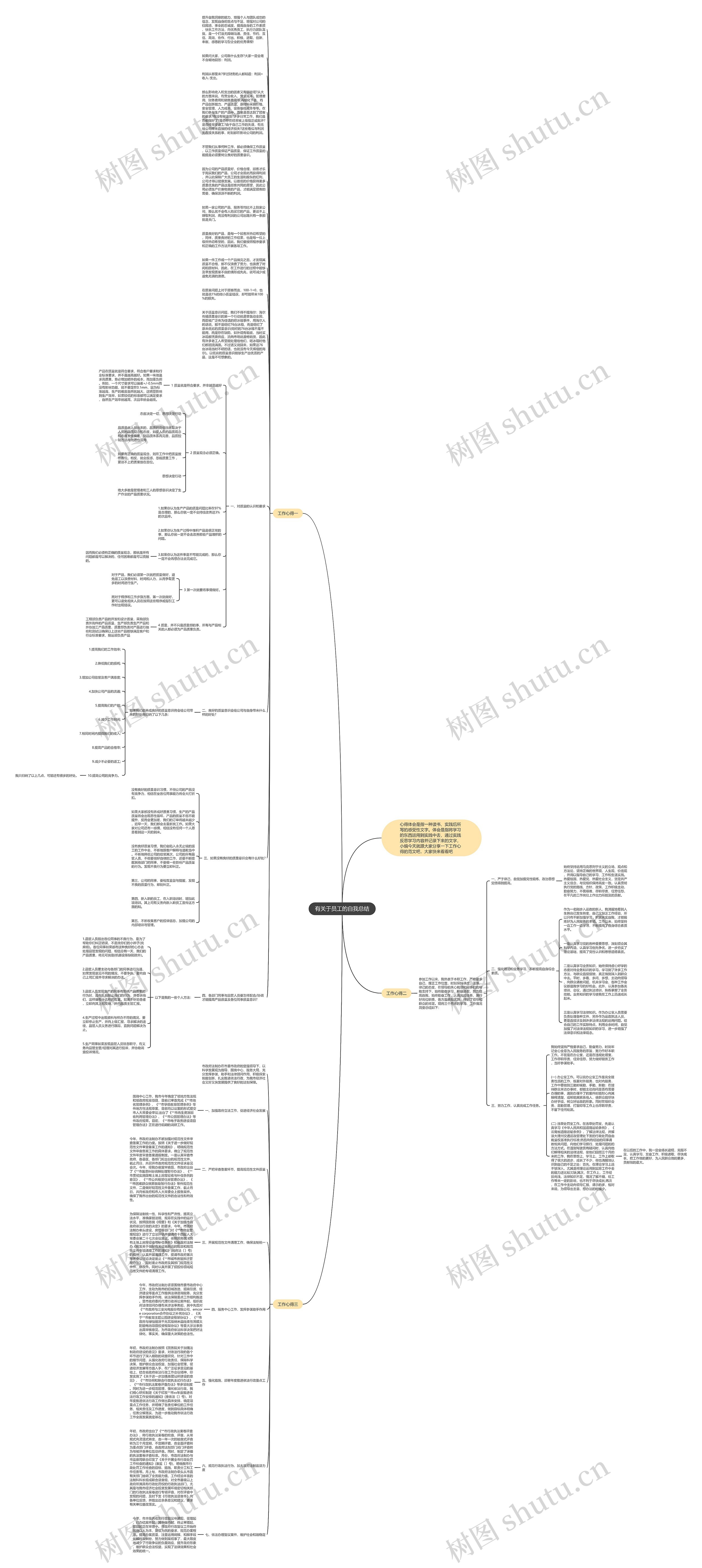有关于员工的自我总结思维导图