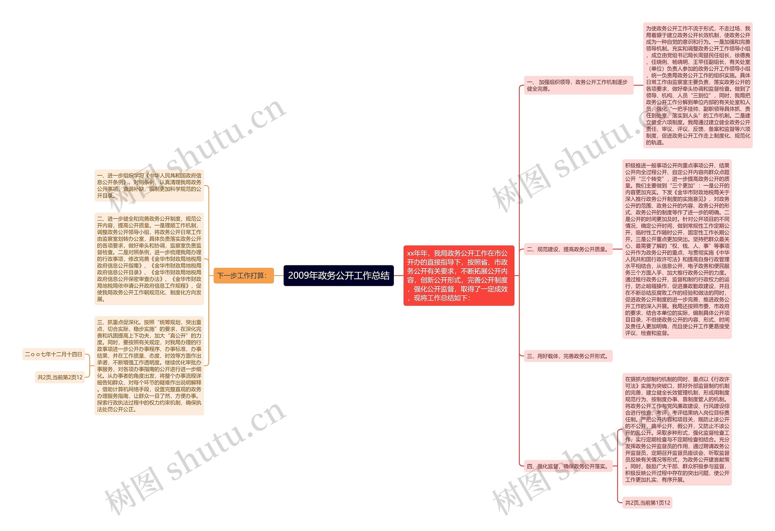 2009年政务公开工作总结思维导图