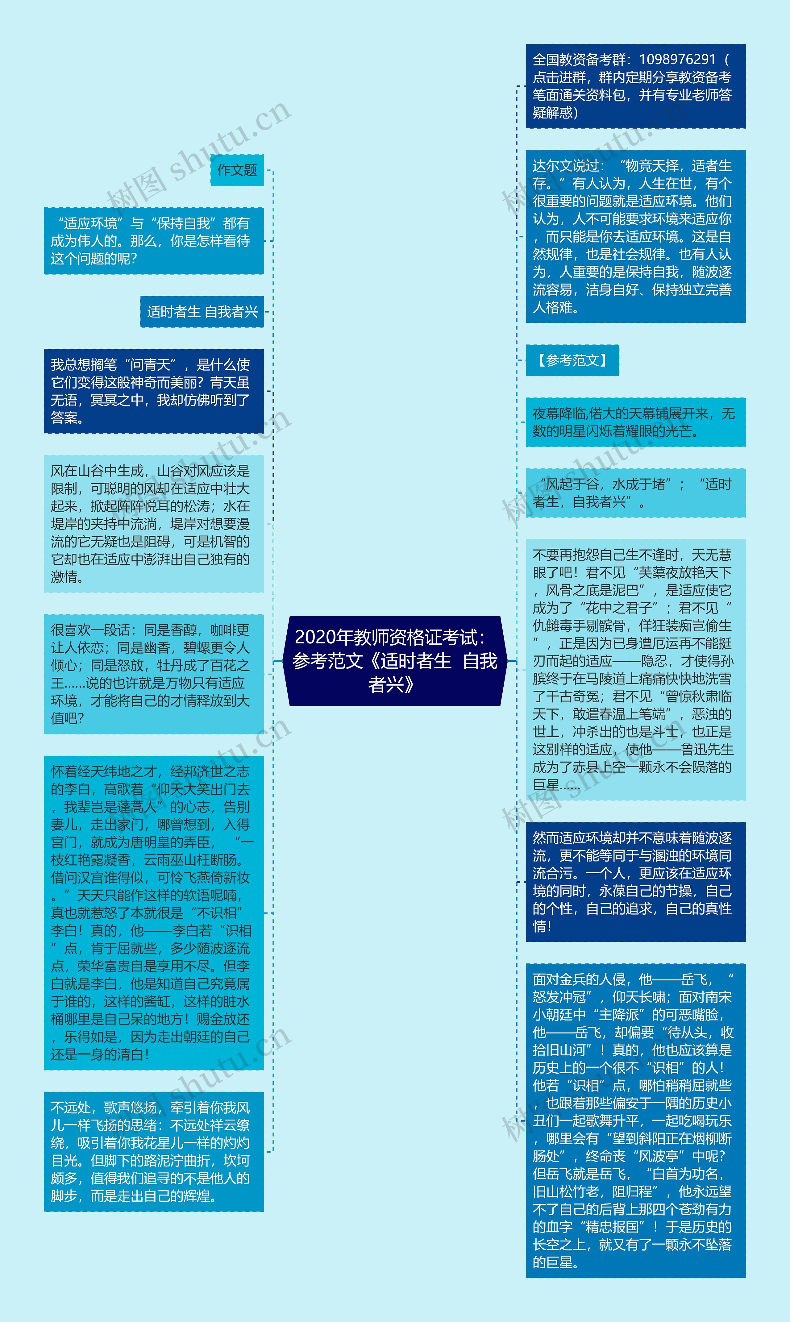 2020年教师资格证考试：参考范文《适时者生  自我者兴》思维导图