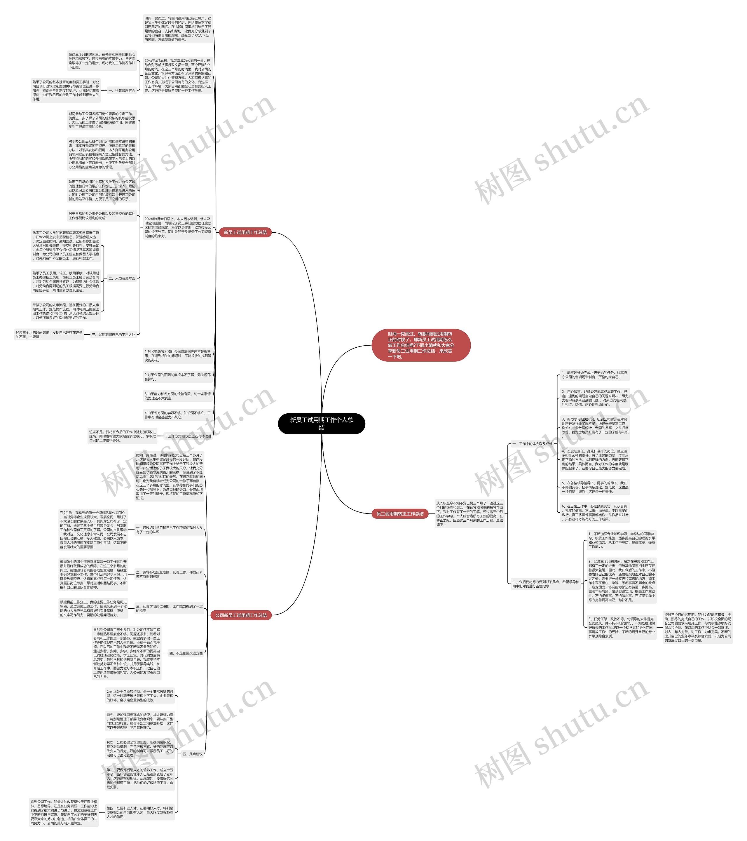 新员工试用期工作个人总结思维导图