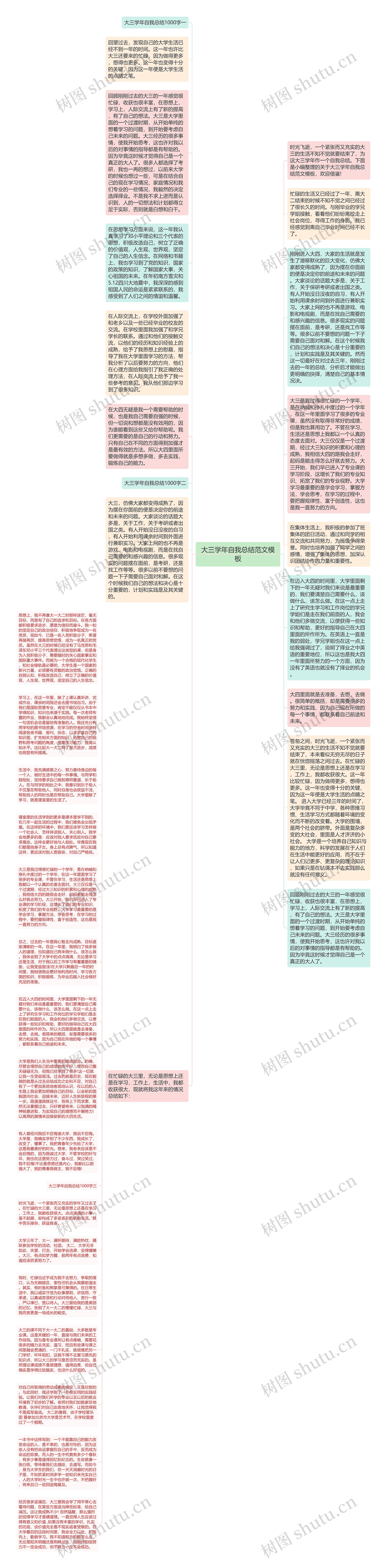 大三学年自我总结范文思维导图