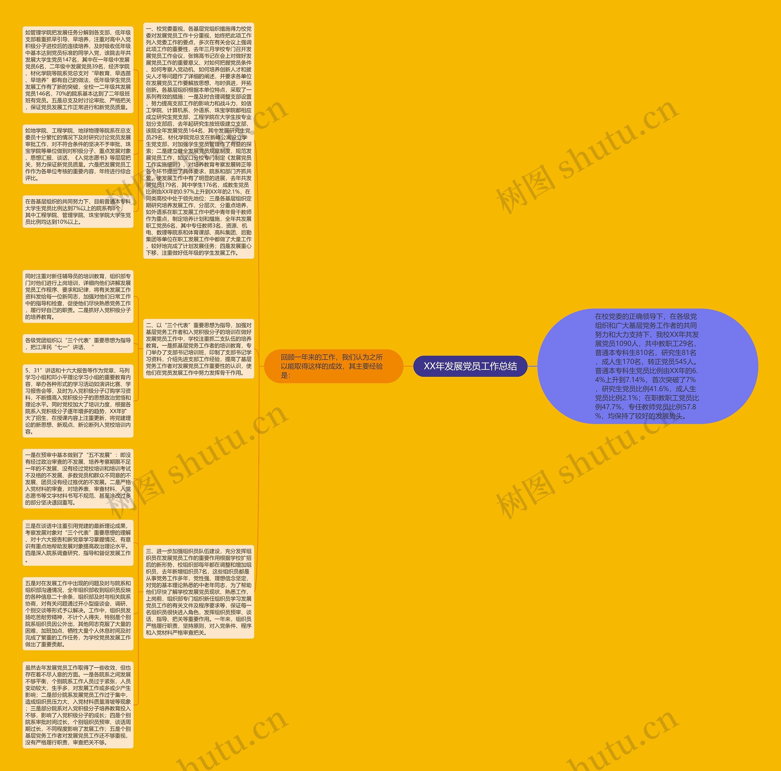 XX年发展党员工作总结思维导图