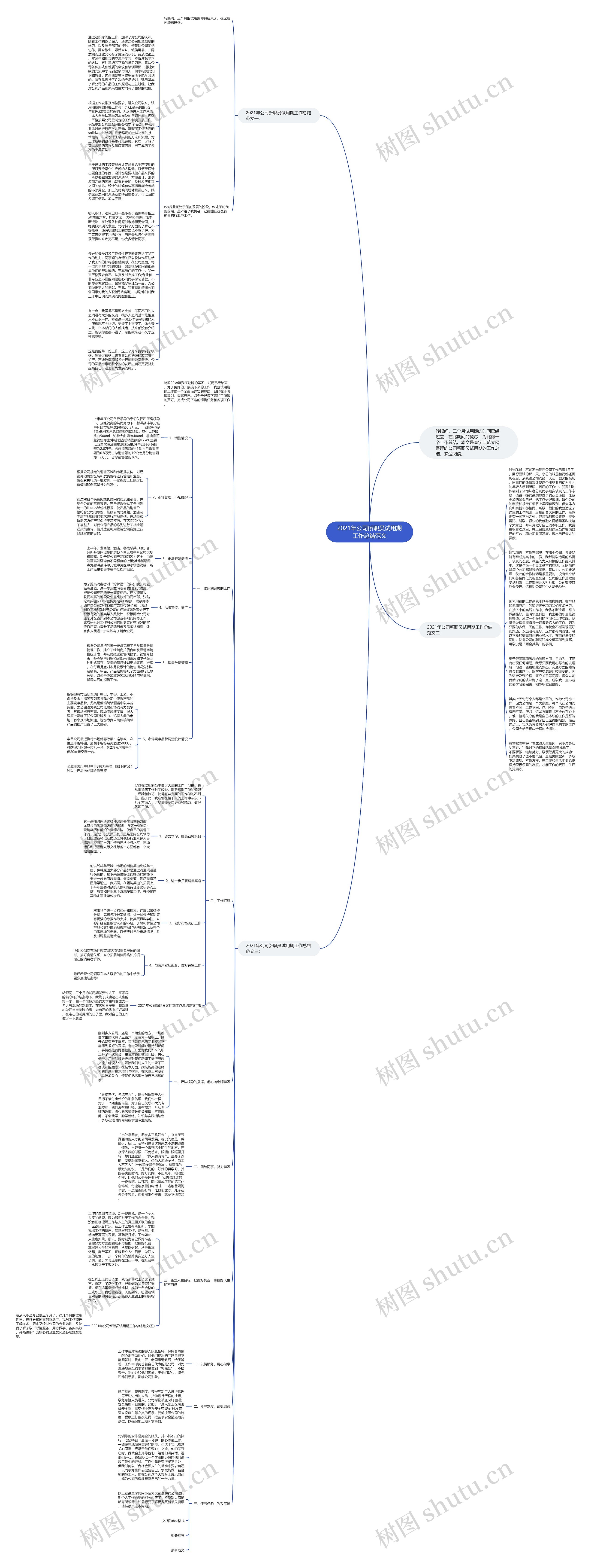 2021年公司新职员试用期工作总结范文思维导图