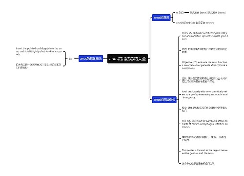 anus的用法总结大全