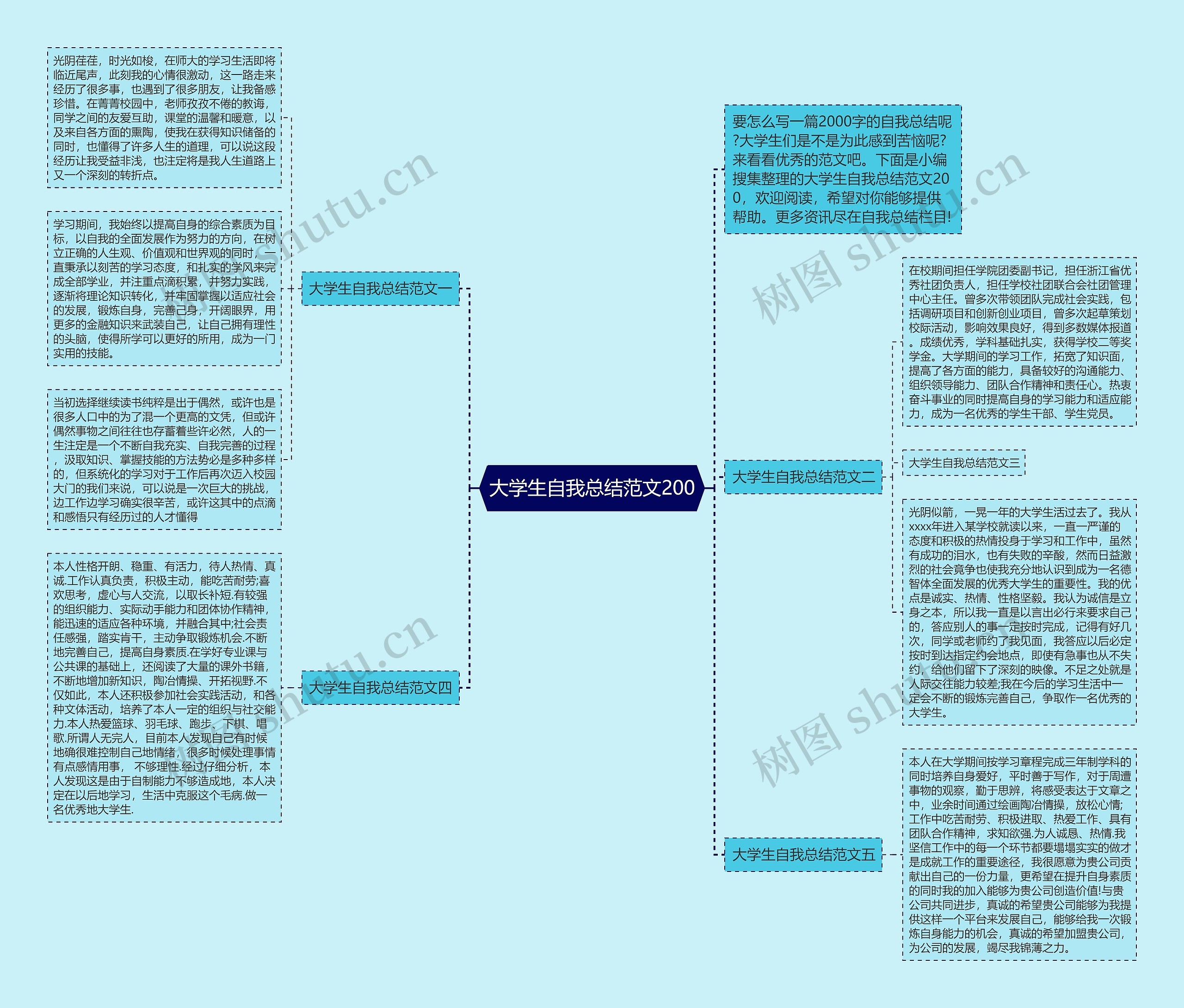 大学生自我总结范文200思维导图