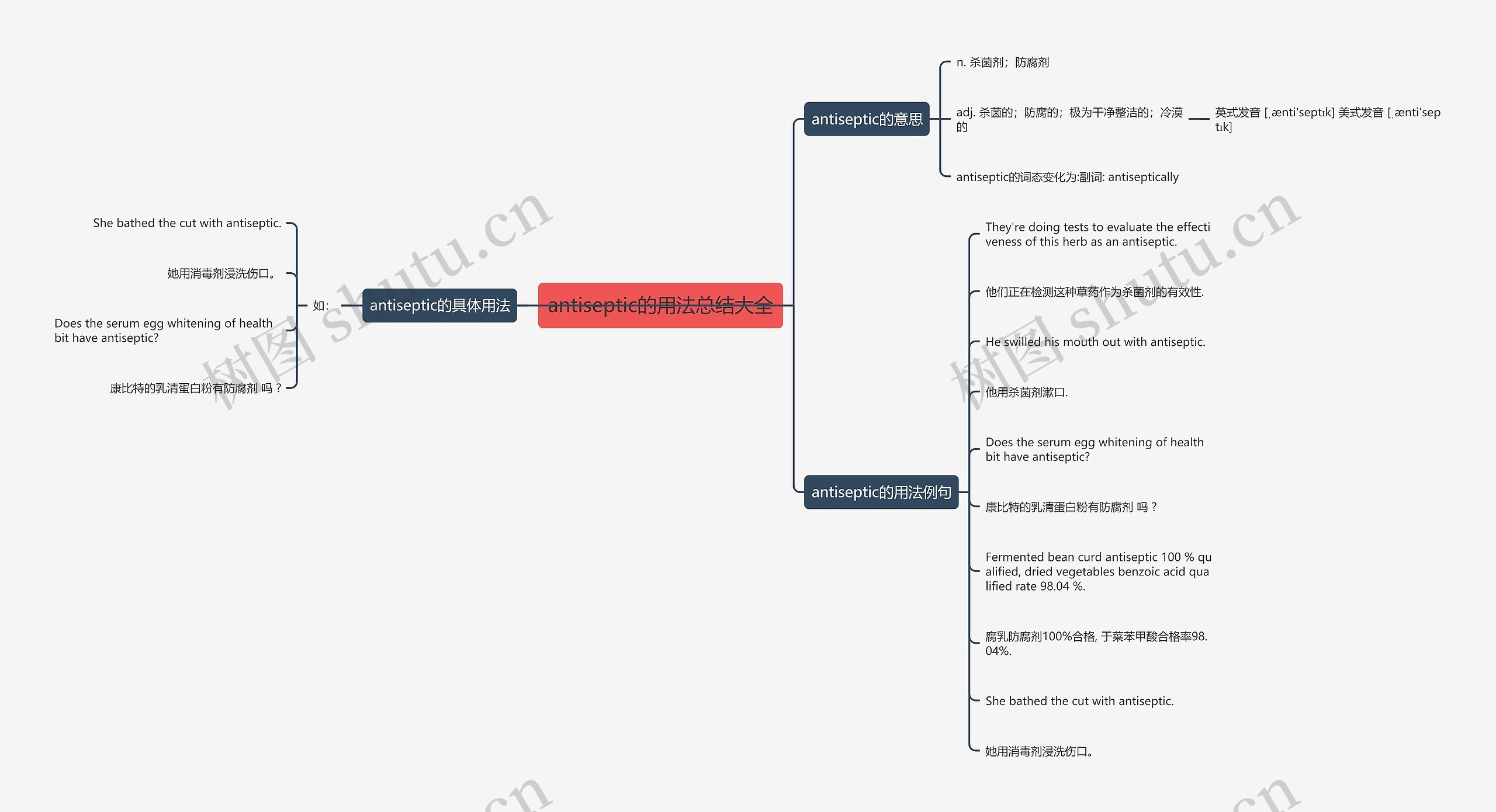 antiseptic的用法总结大全思维导图