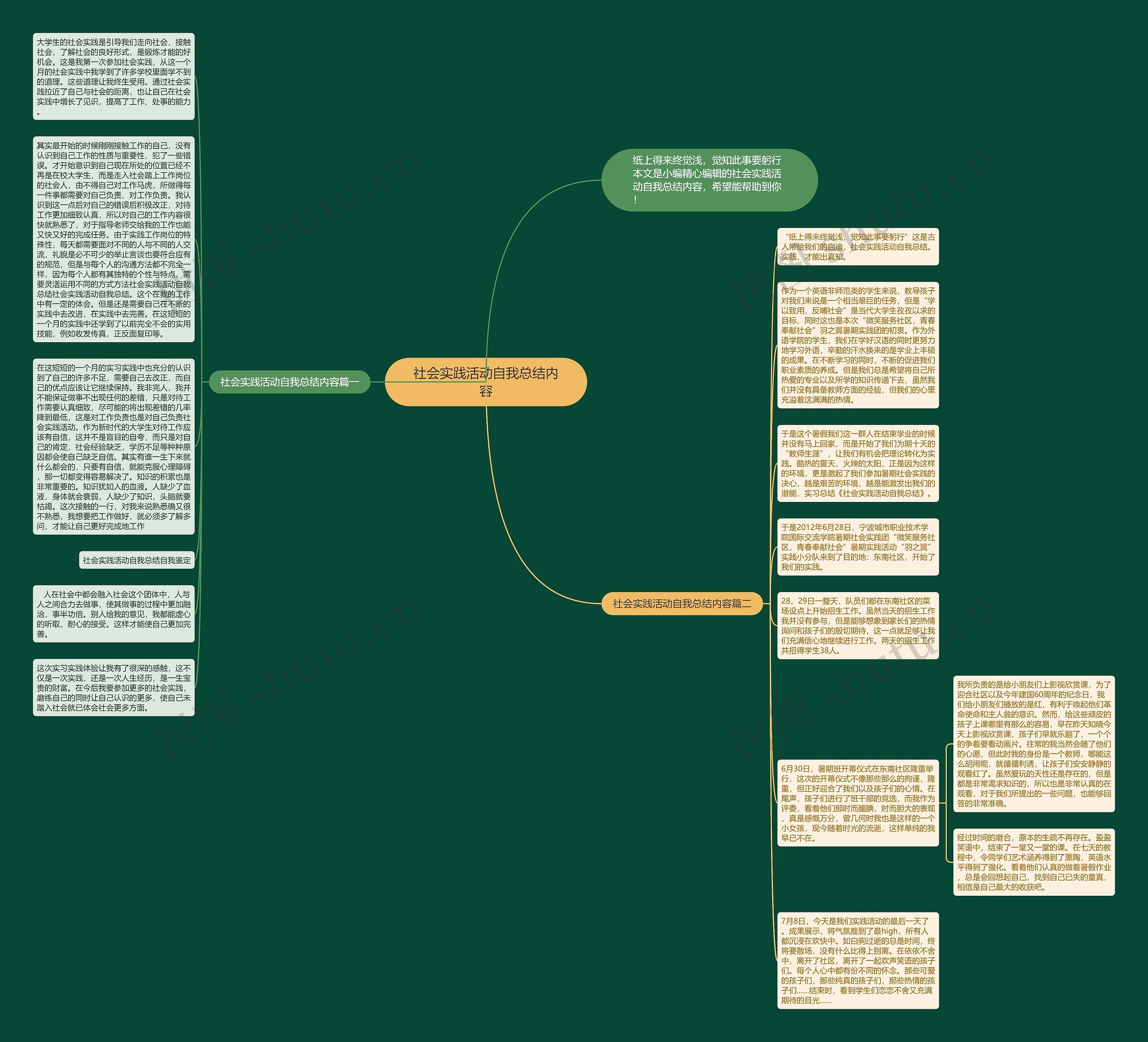 社会实践活动自我总结内容思维导图