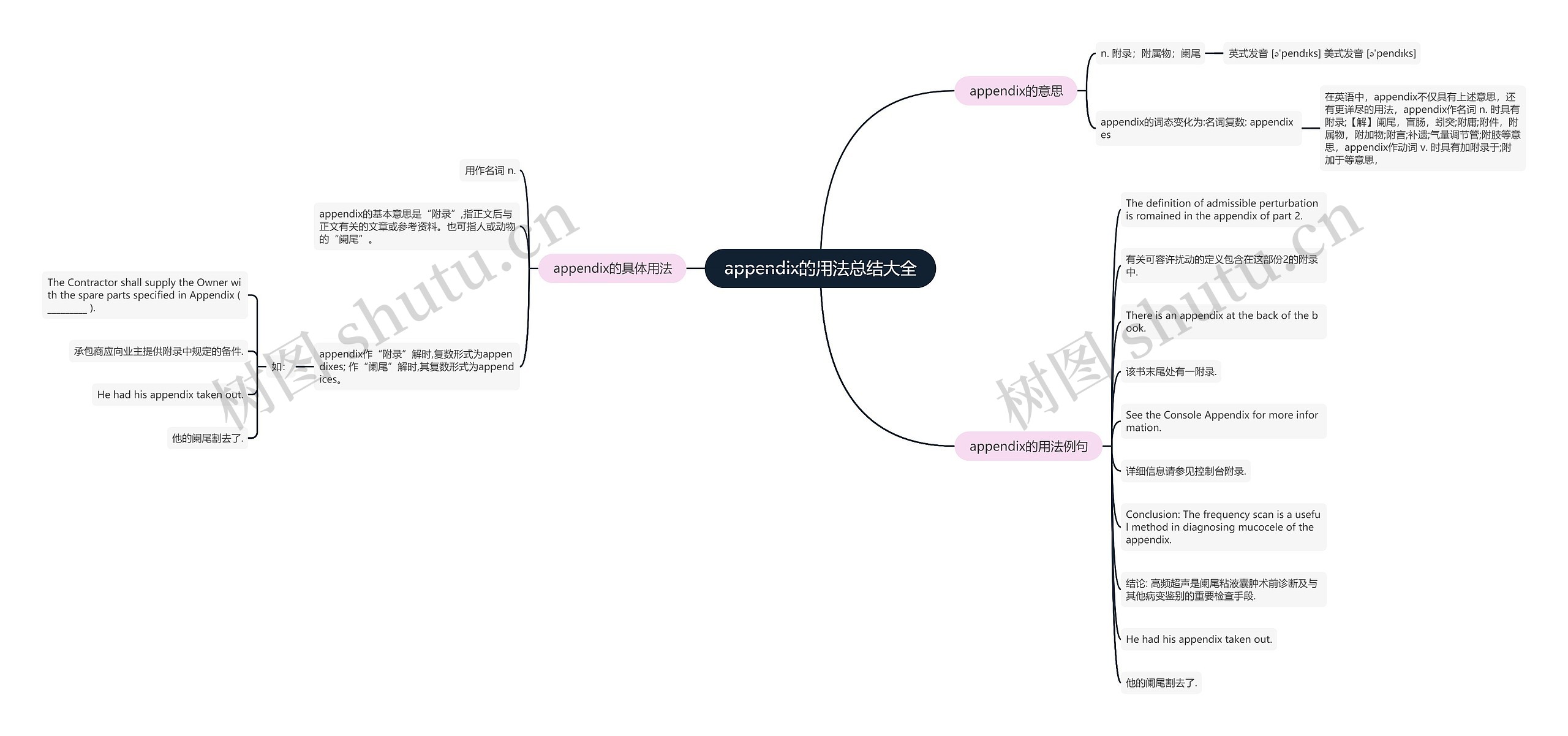 appendix的用法总结大全思维导图