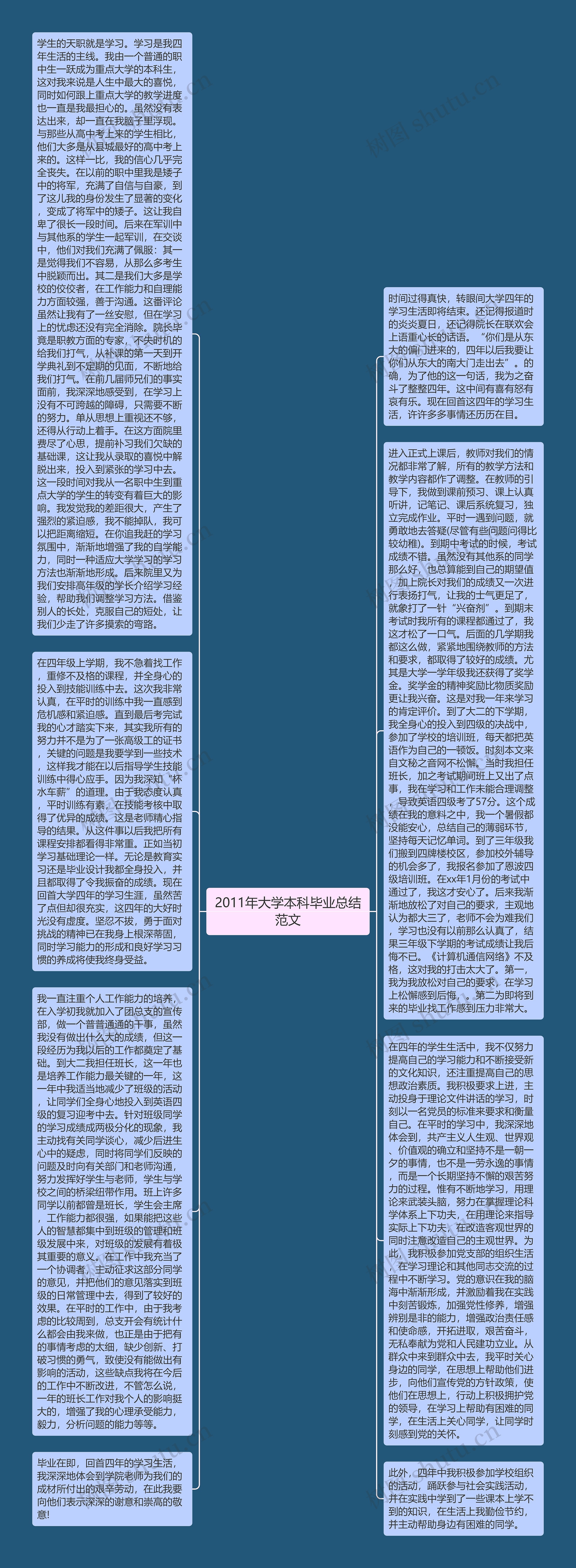 2011年大学本科毕业总结范文