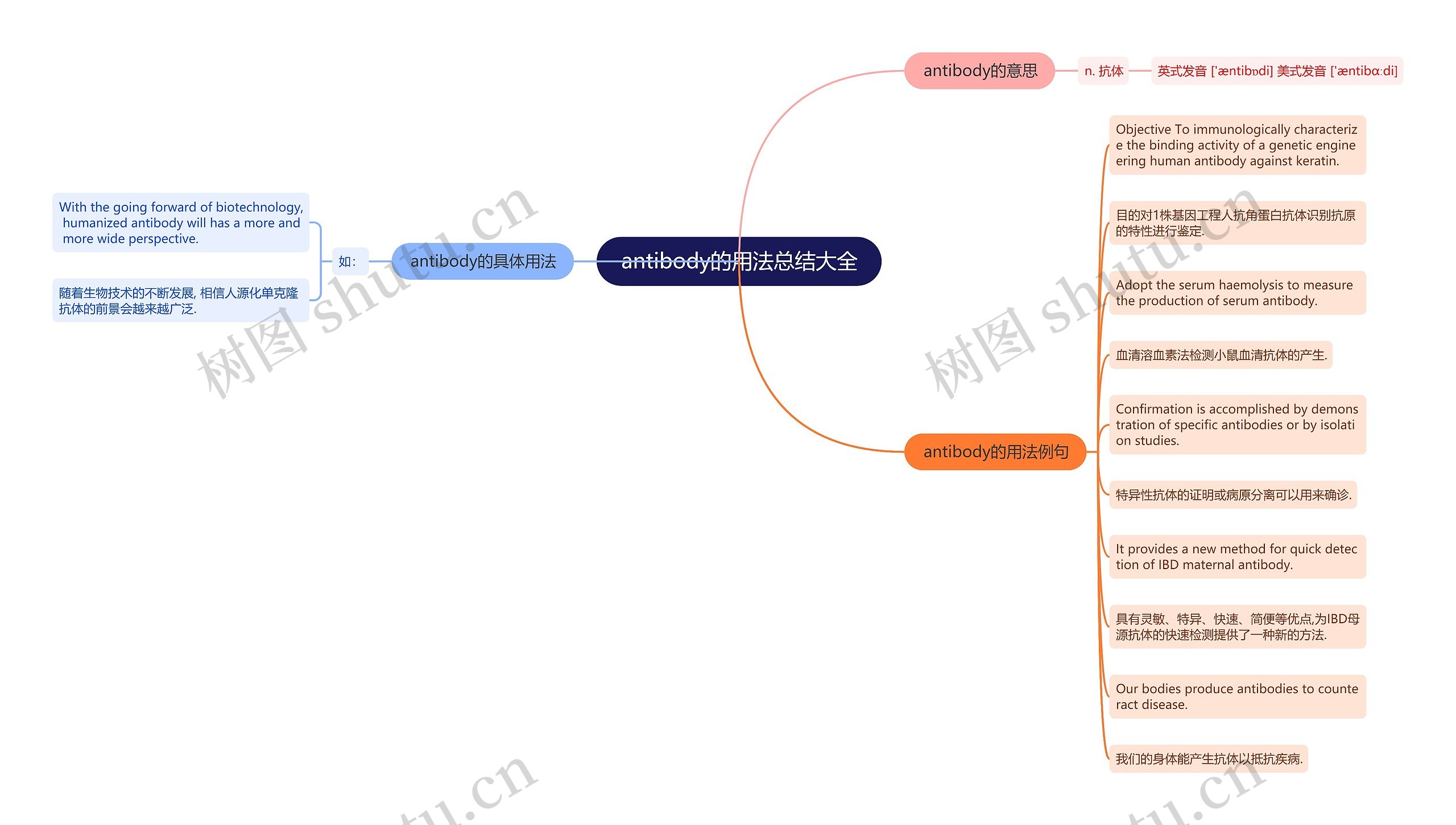 antibody的用法总结大全思维导图